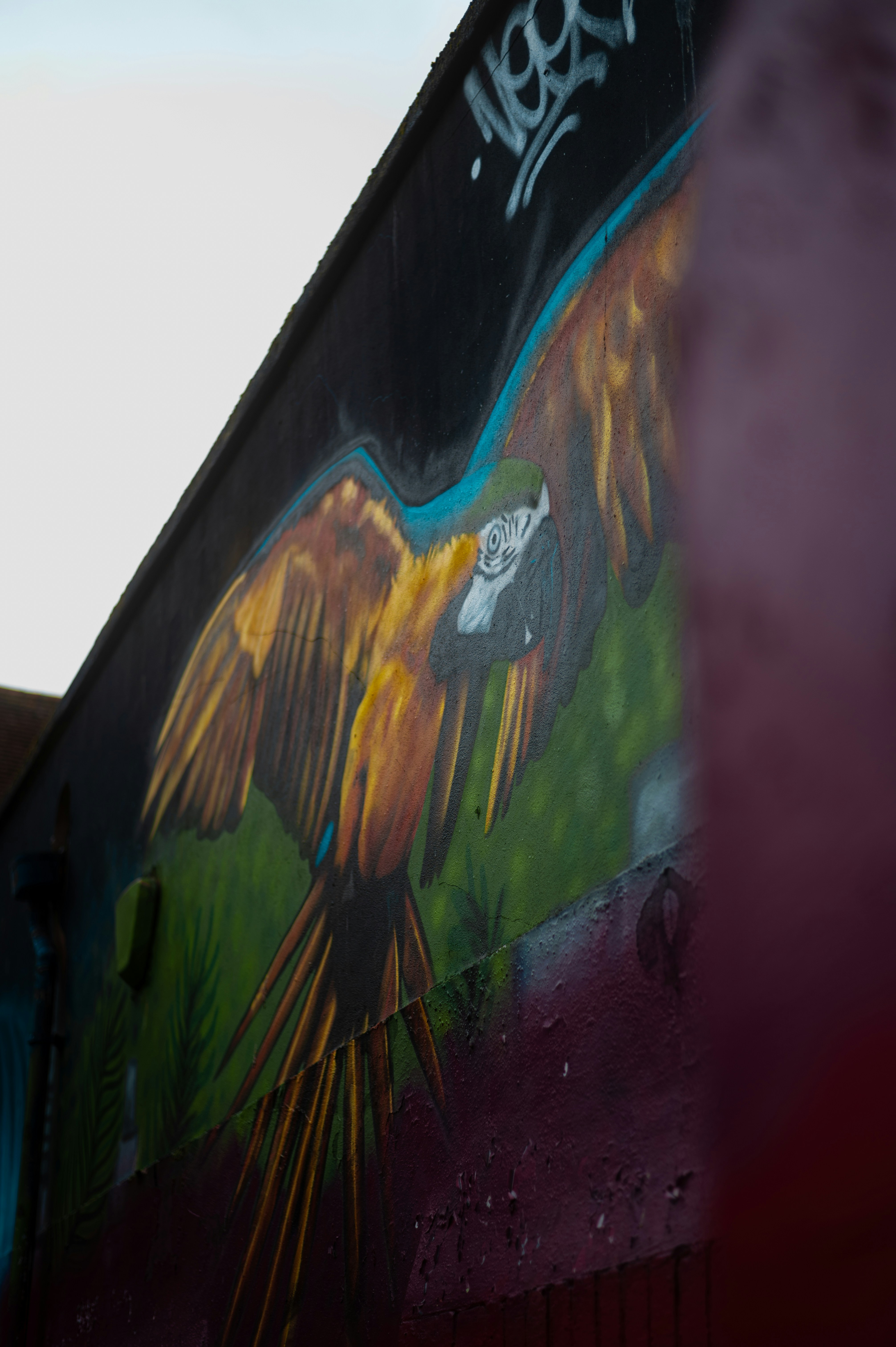 a bird painted on the side of a building