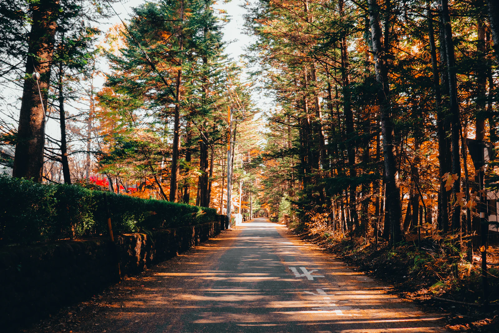 Karuizawa — photo 1