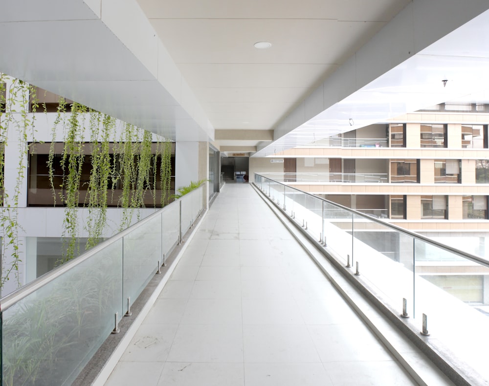 a long hallway with a plant growing on the wall