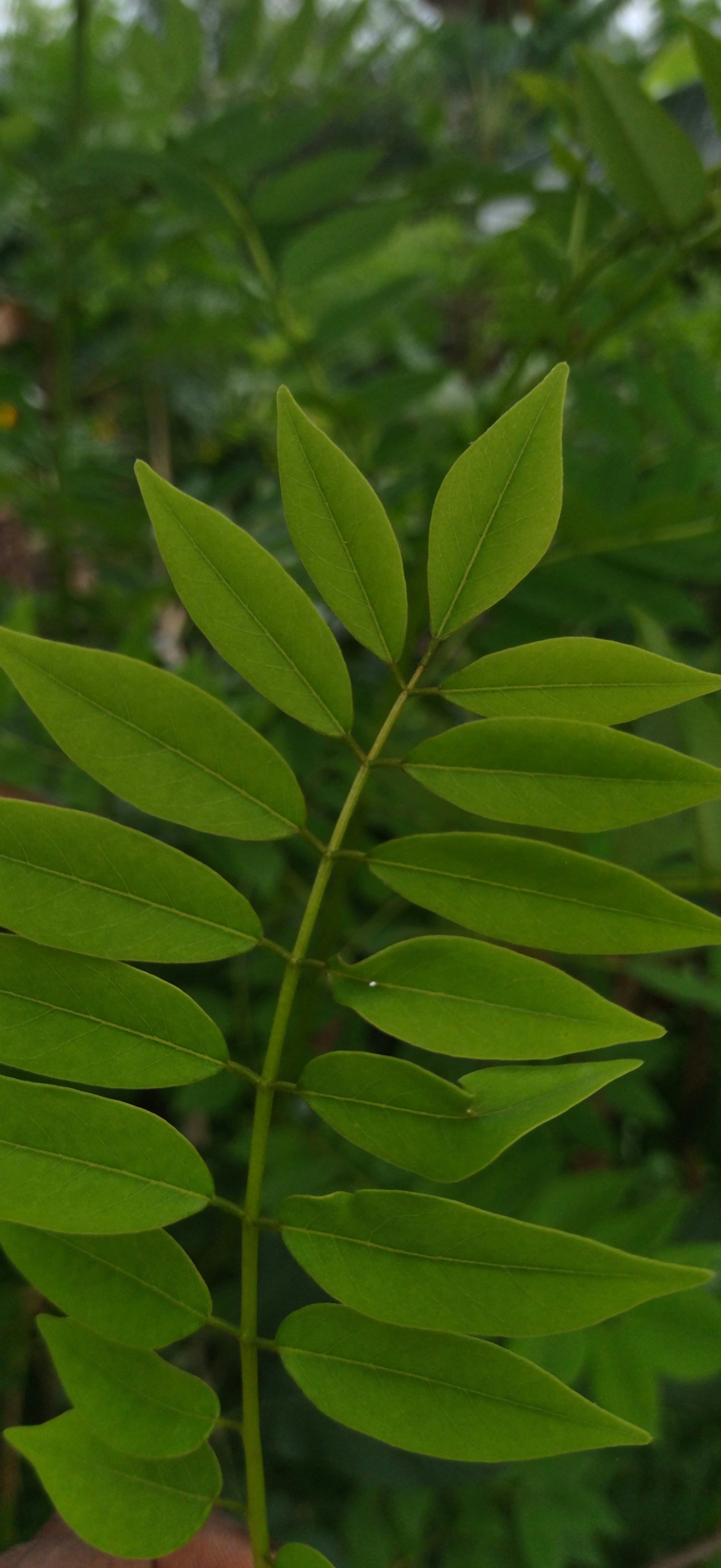 Photo by atomvisuals