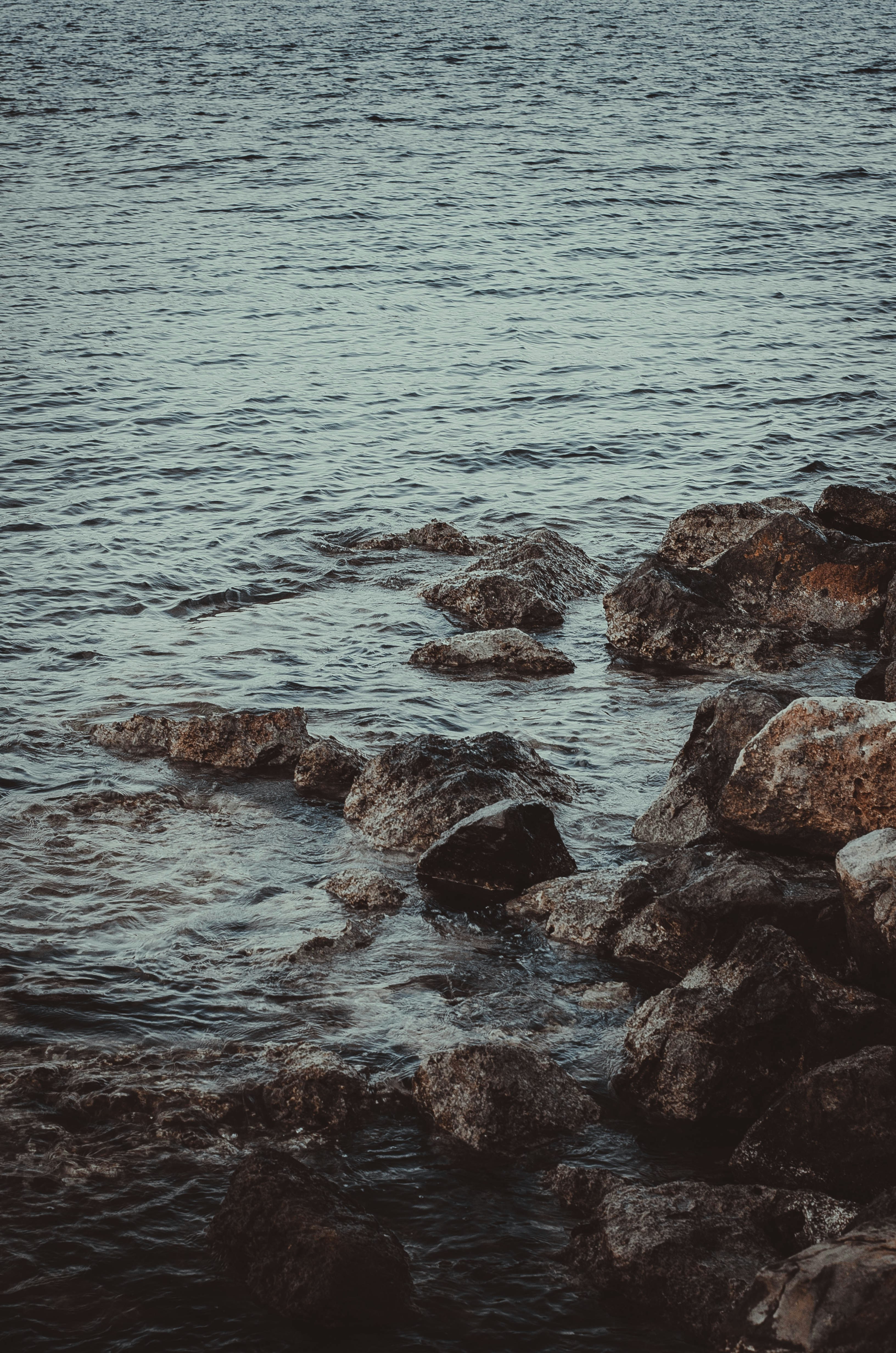 Photo by nika_benedictova