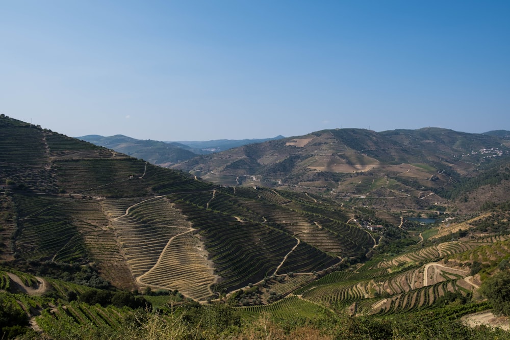 a scenic view of a valley with mountains in the background