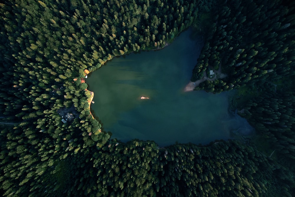 an aerial view of a lake surrounded by trees