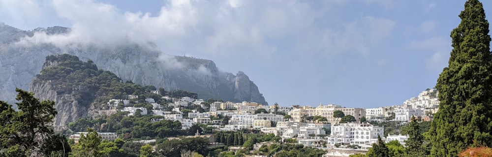 a view of a city with a mountain in the background