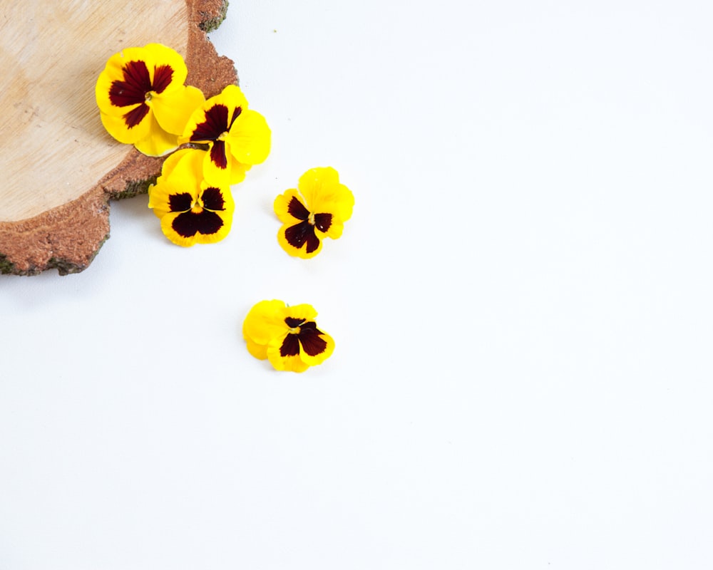 a group of yellow and brown flowers sitting on top of a white table