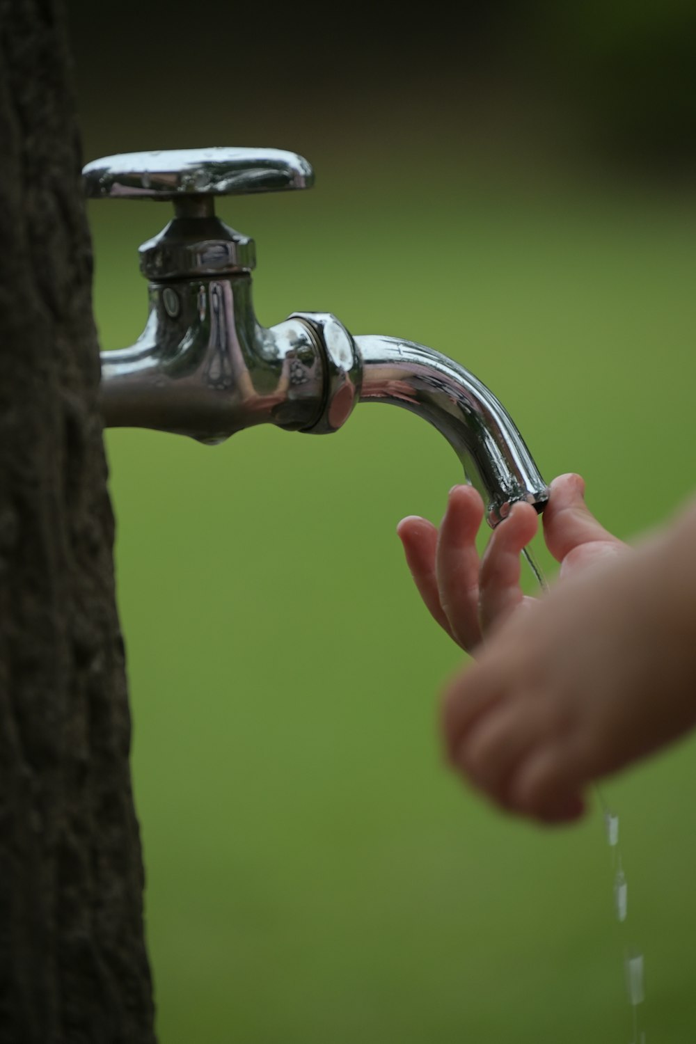 a person's hand holding a faucet next to a tree