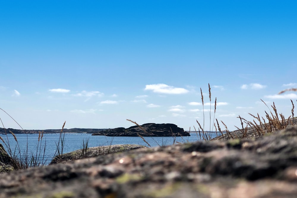 a view of a body of water from a hill