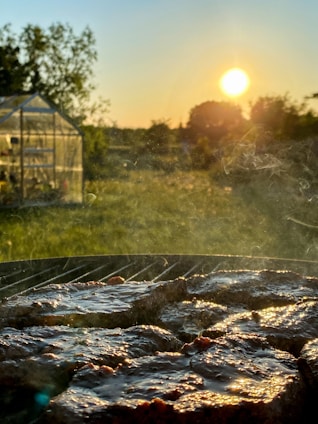 A warm, inviting kitchen scene with fresh ingredients and a sizzling burger on the grill.