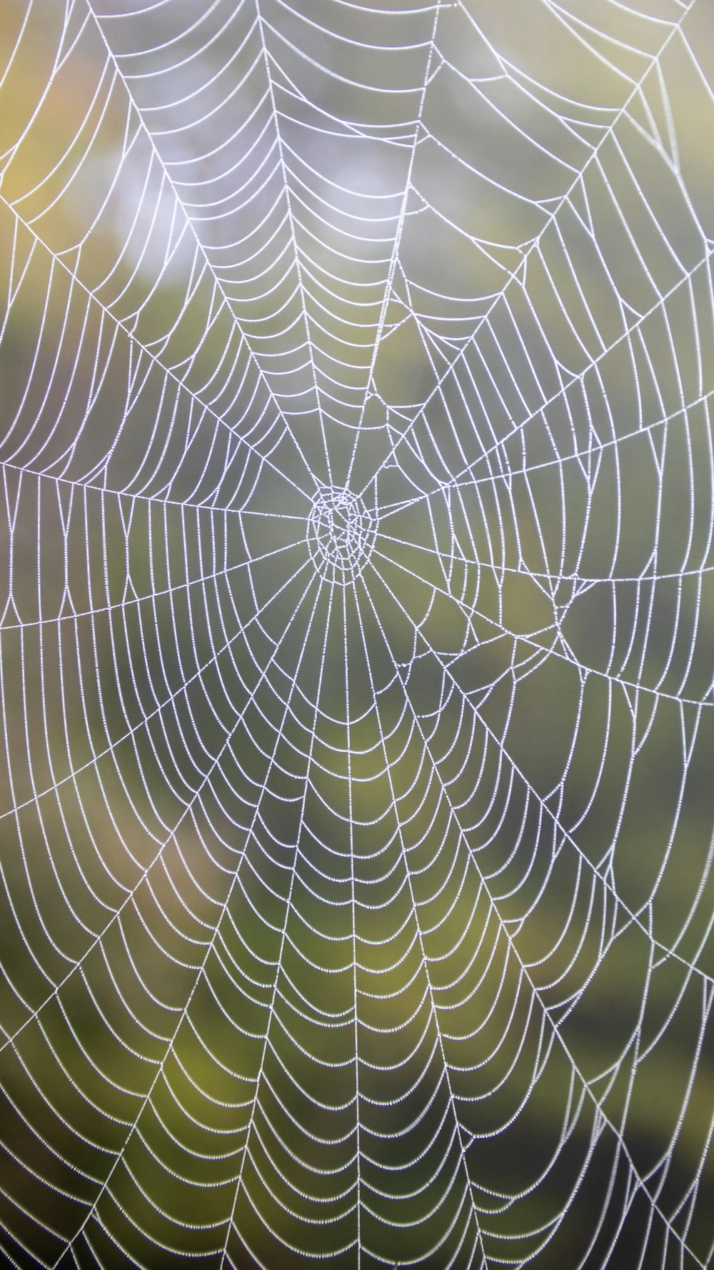 a close up of a spider web on a window