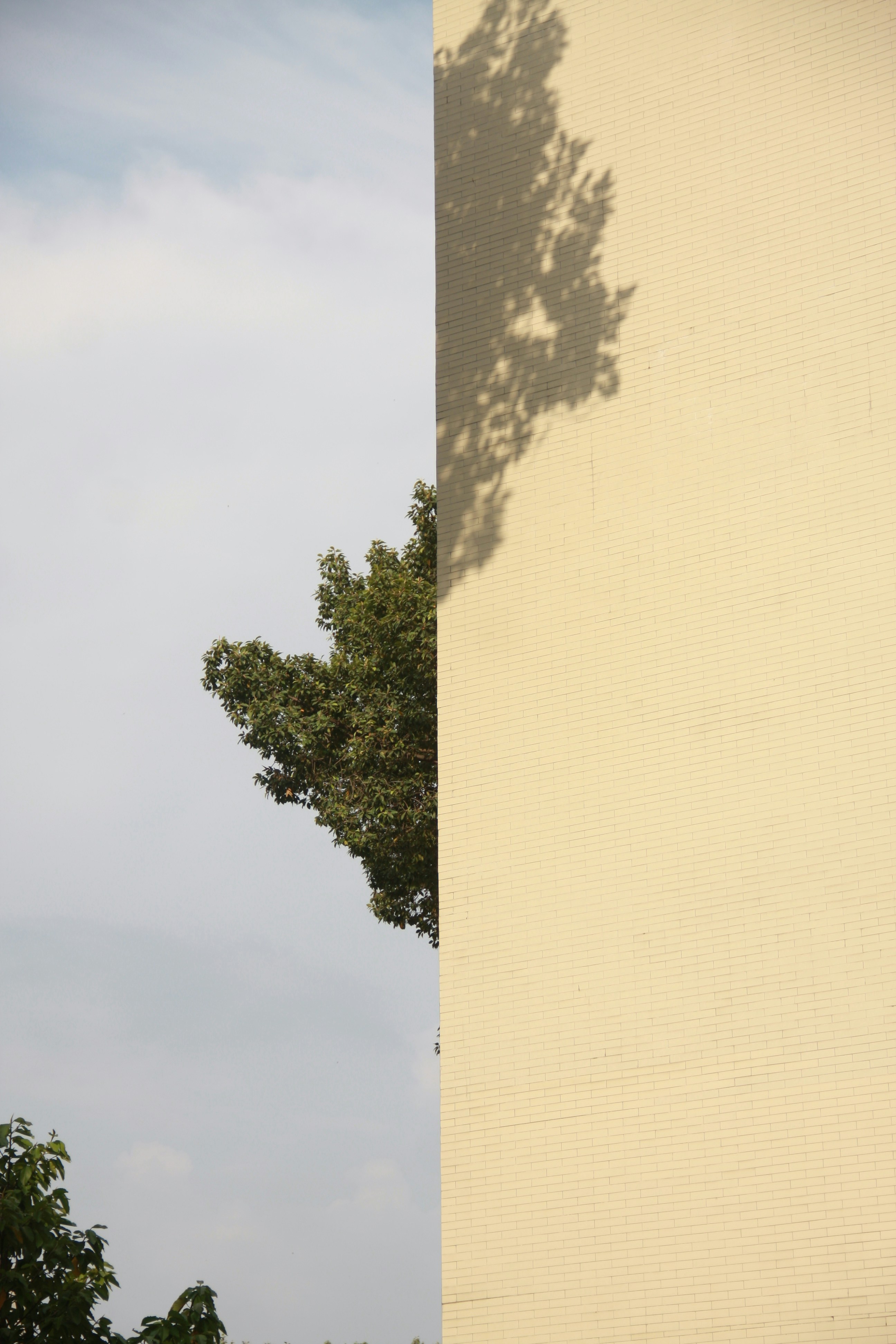 Photo by tathithuthuy