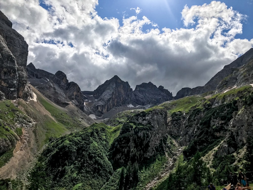 a group of people standing on top of a lush green hillside