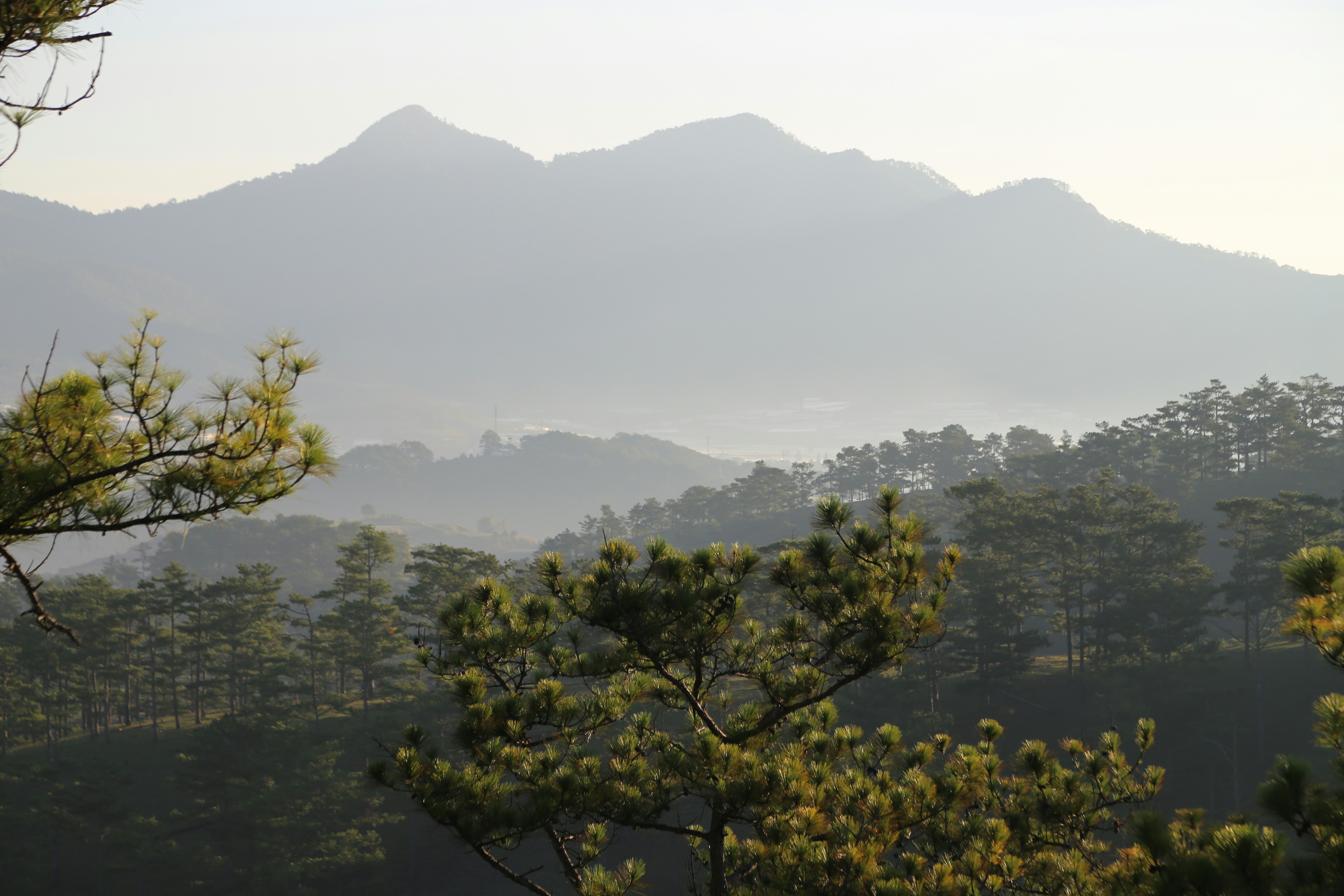 Photo by tathithuthuy