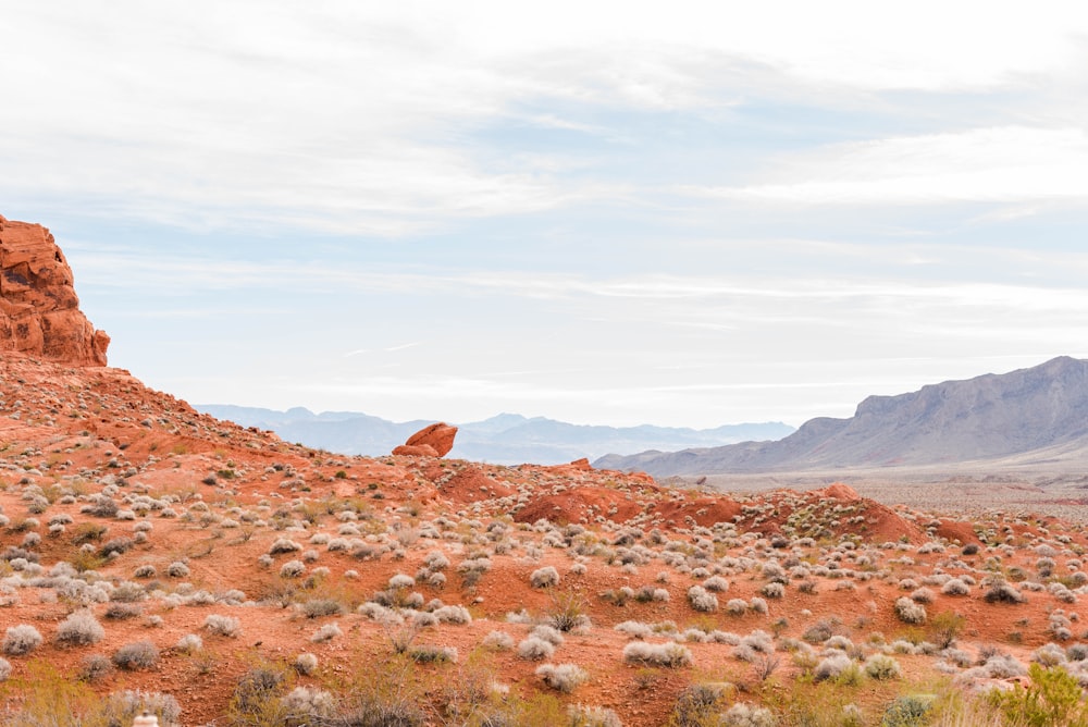 a rocky outcropping in the middle of a desert