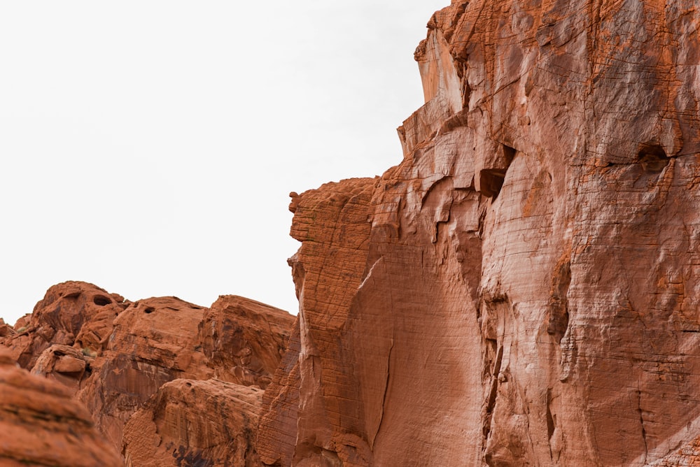 a bird is perched on a rock formation