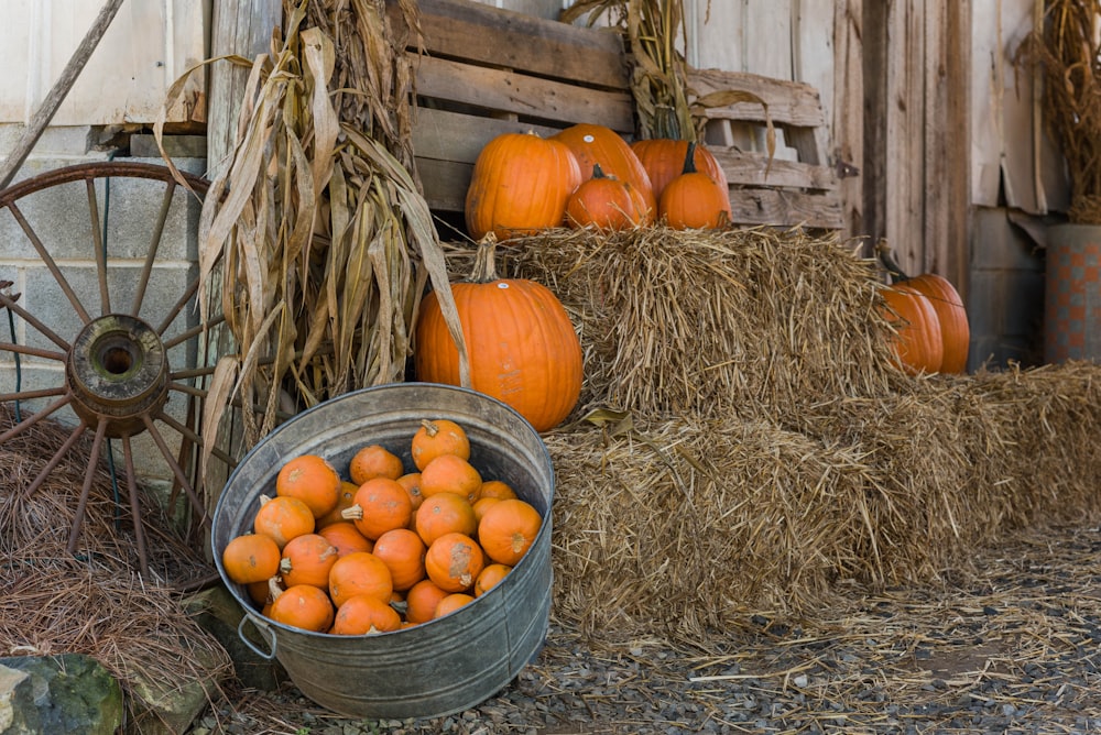 a bucket of pumpkins sitting next to a pile of hay