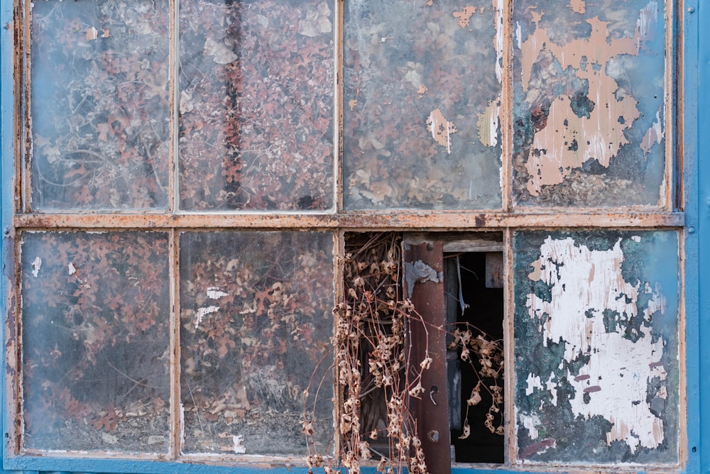 an old window with peeling paint and vines growing out of it