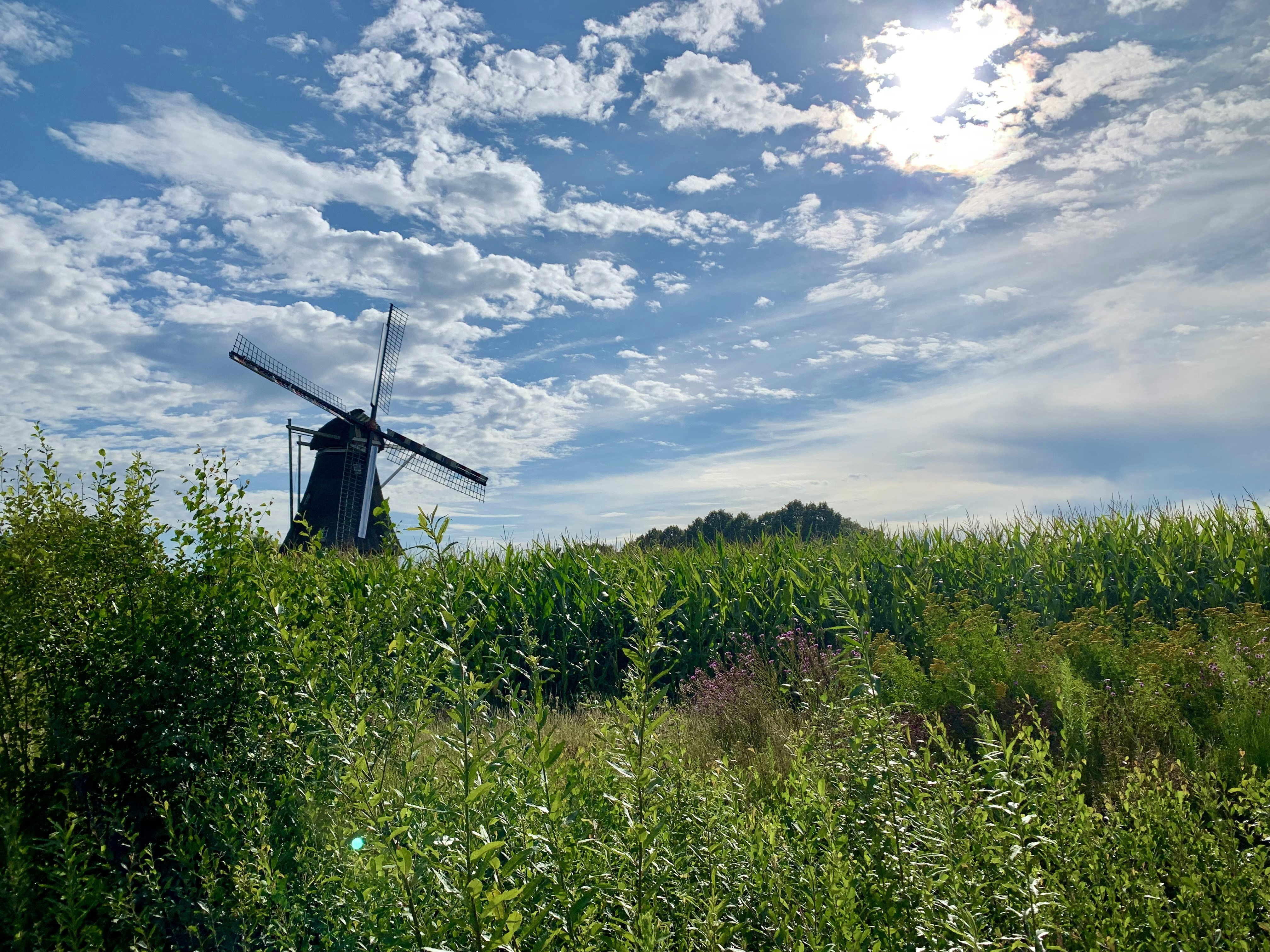 a windmill sitting in the middle of a lush green field