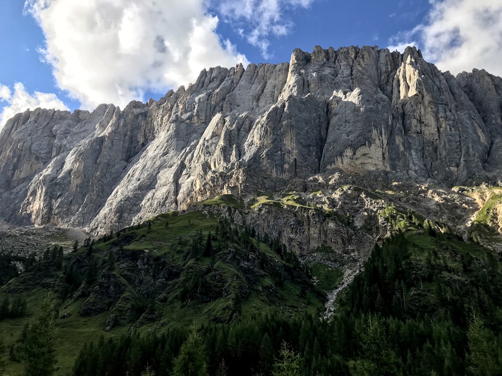 Una montagna molto alta con molti alberi su di essa