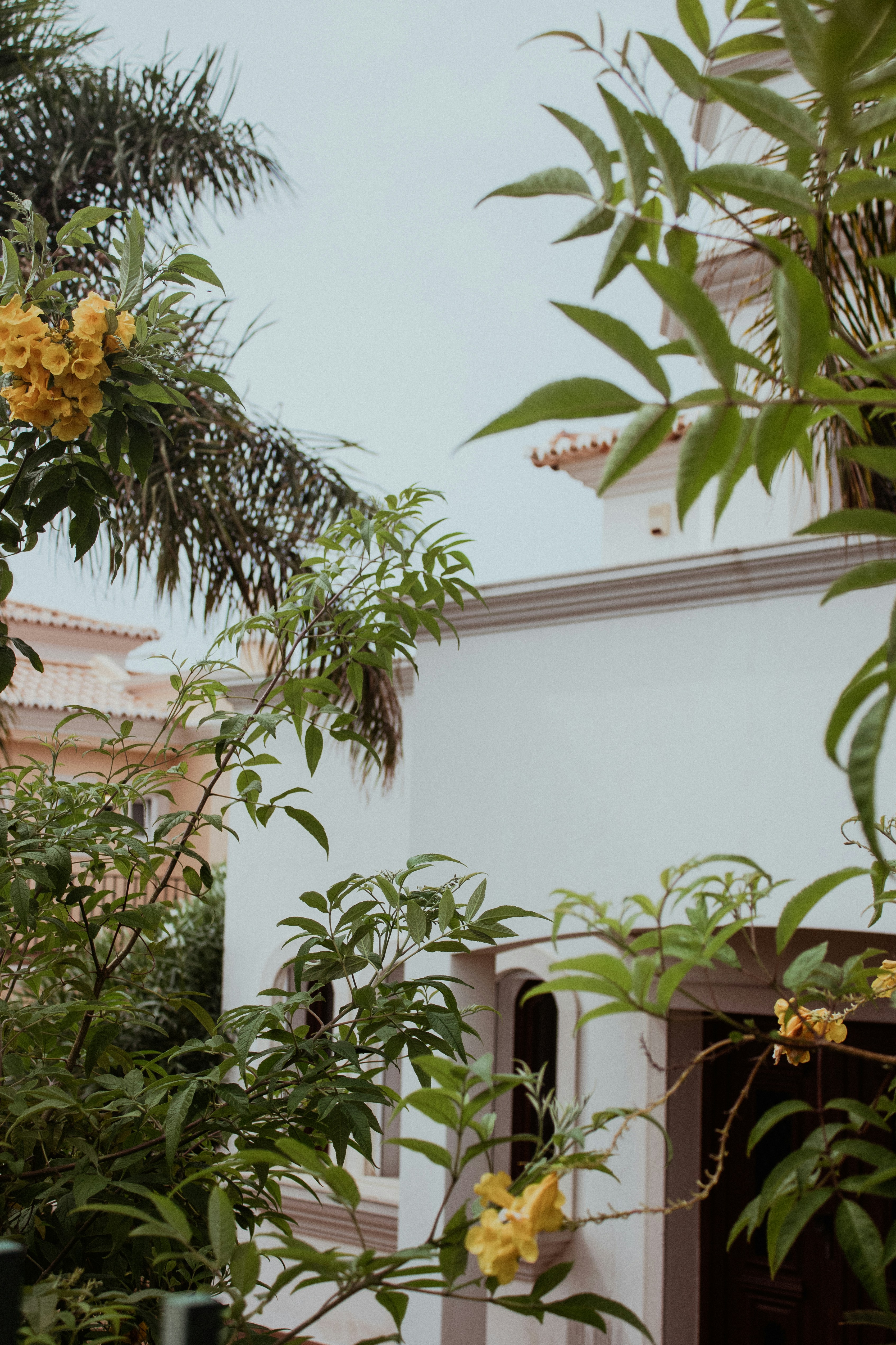 Photo by remco_marien