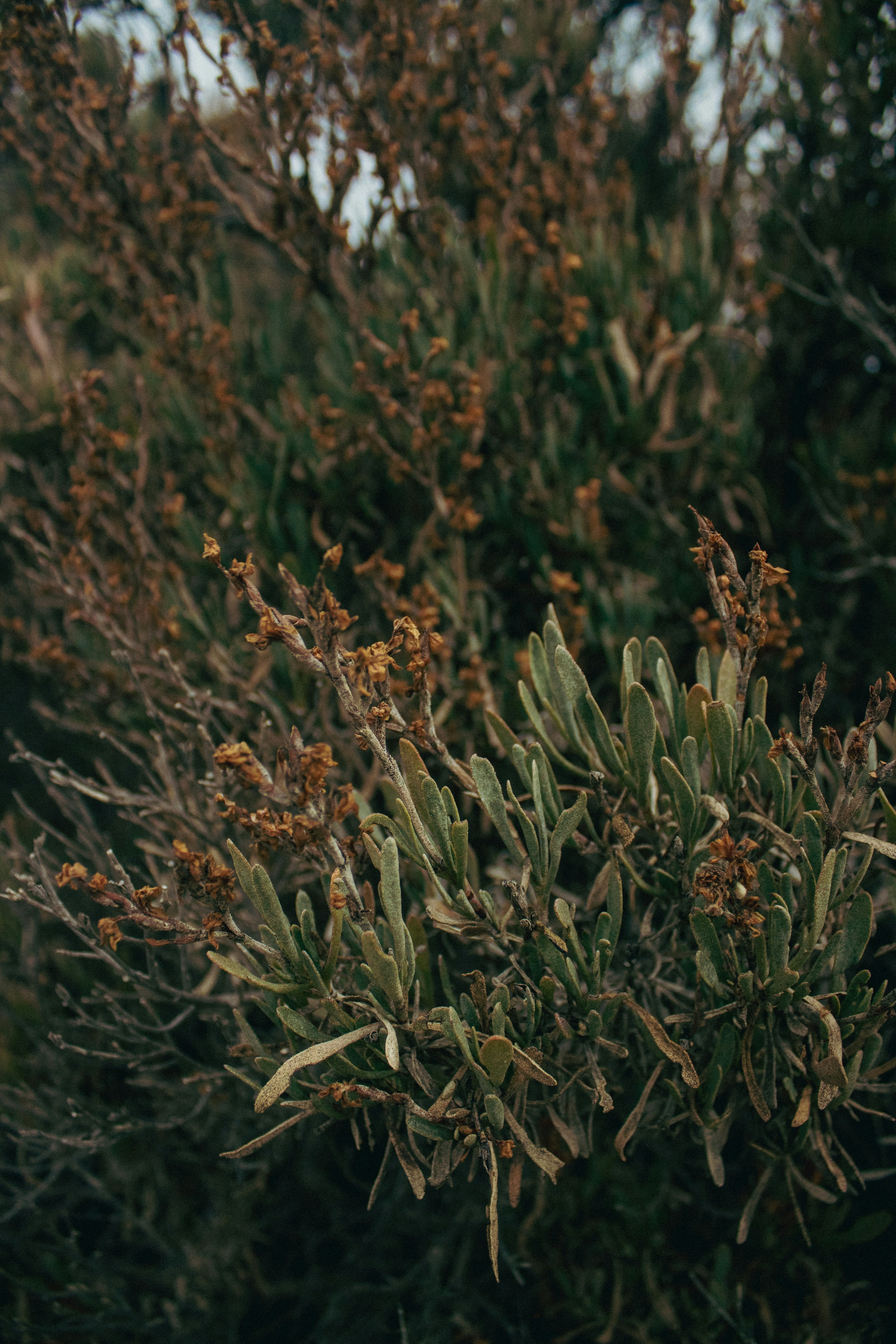 Photo by remco_marien