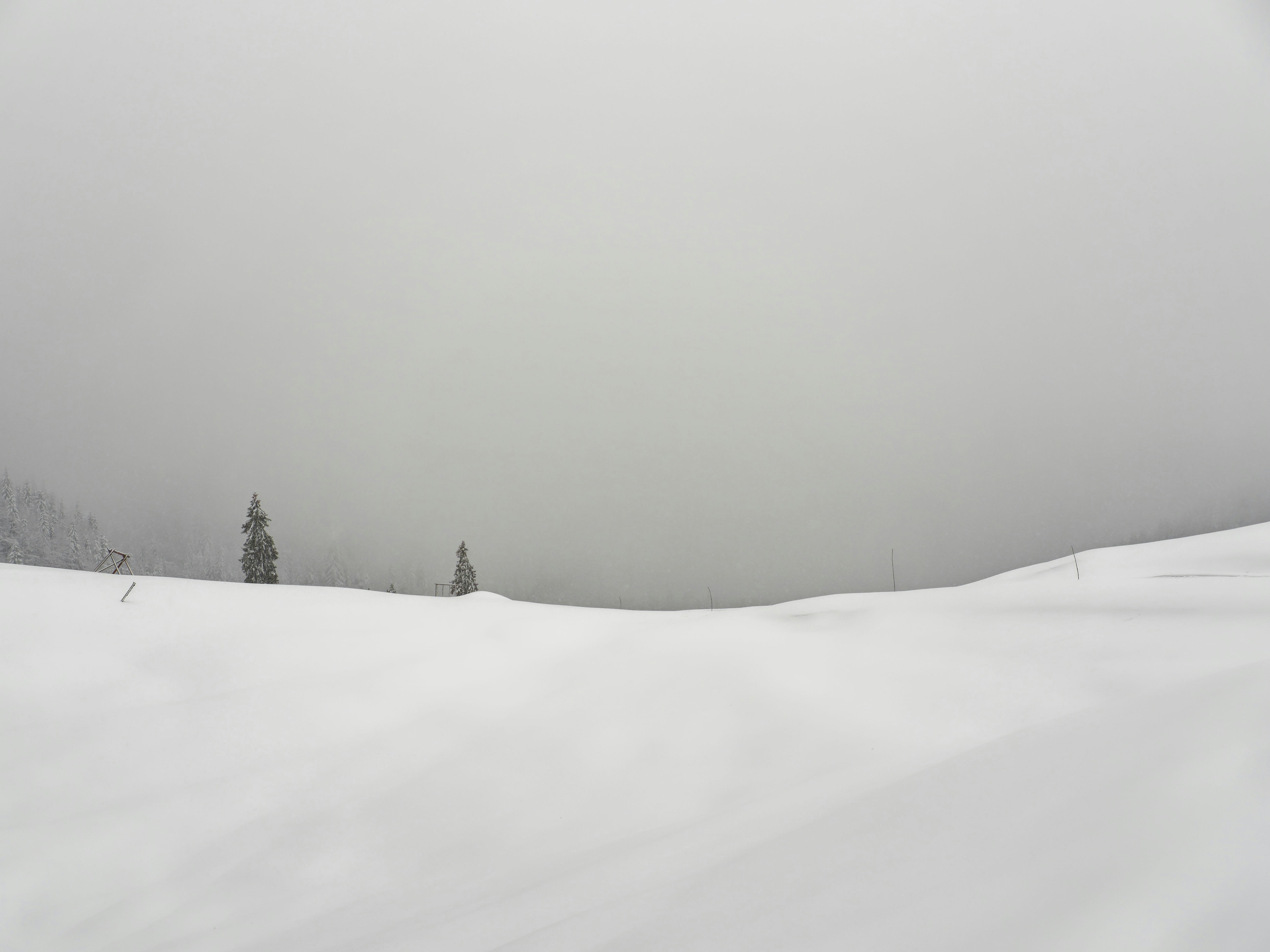 Photo by illes_cristi