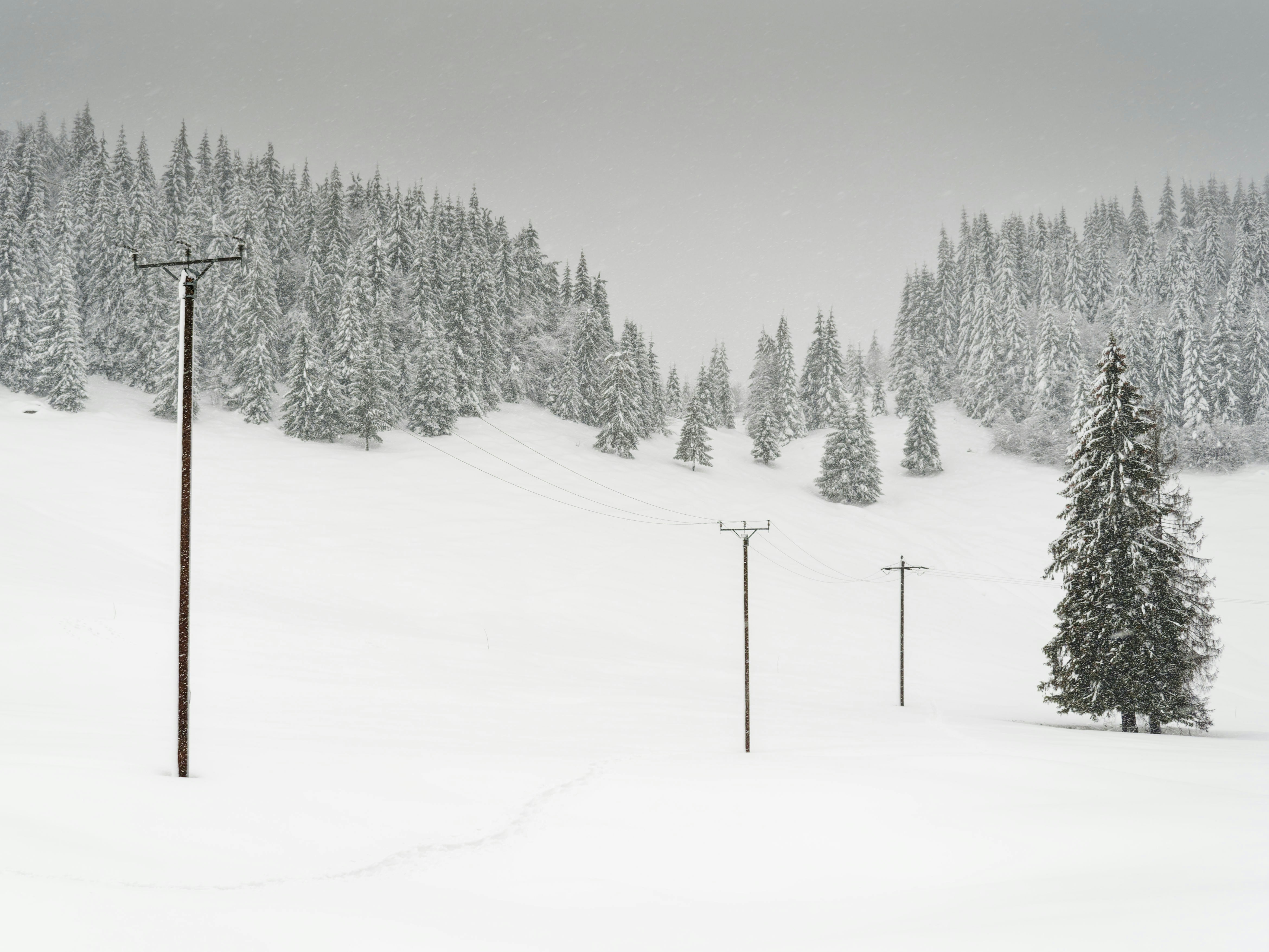 Photo by illes_cristi