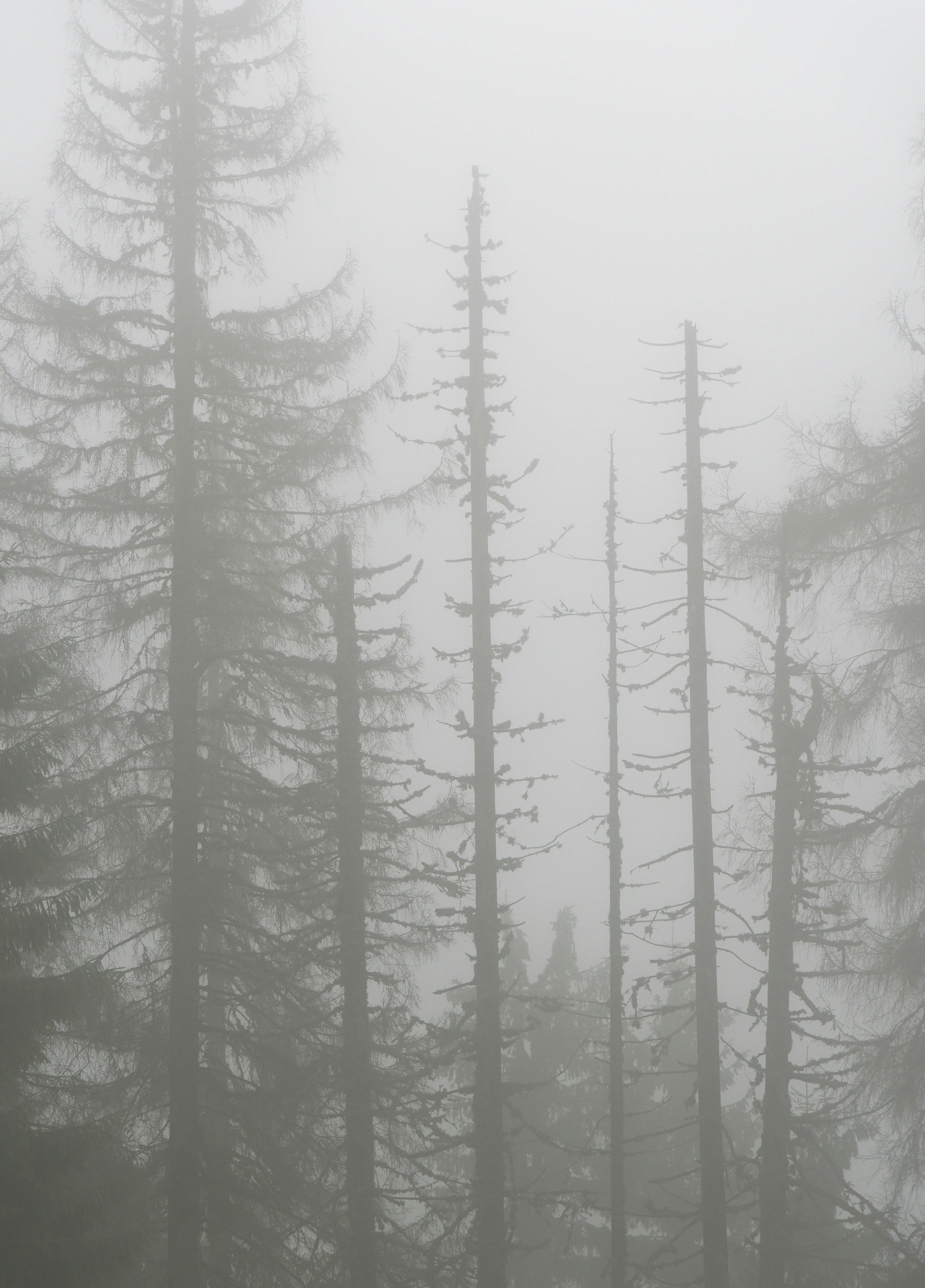 Photo by illes_cristi