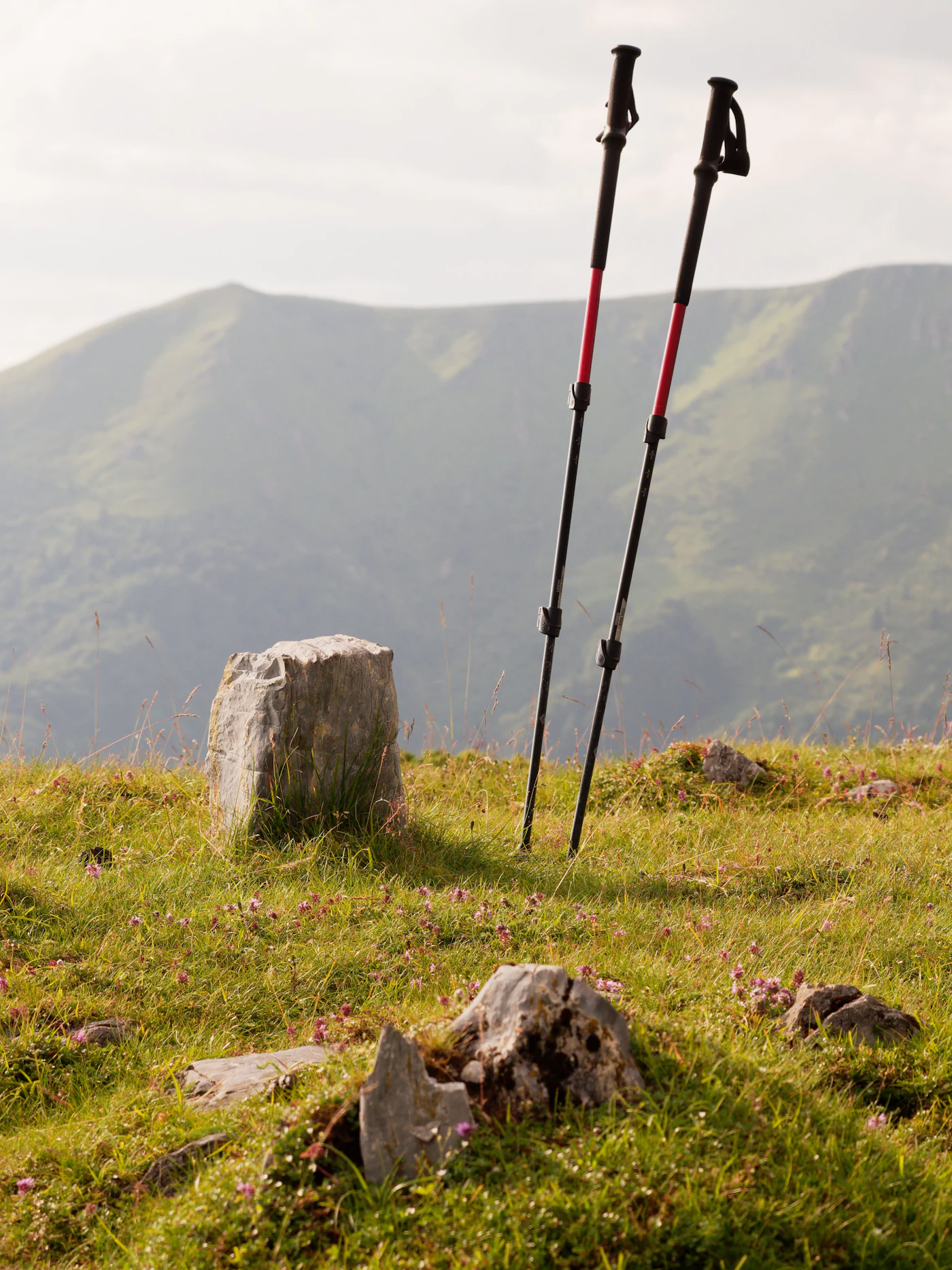 Two trekking poles leaning against a stone trail marker, ridgeline in the background