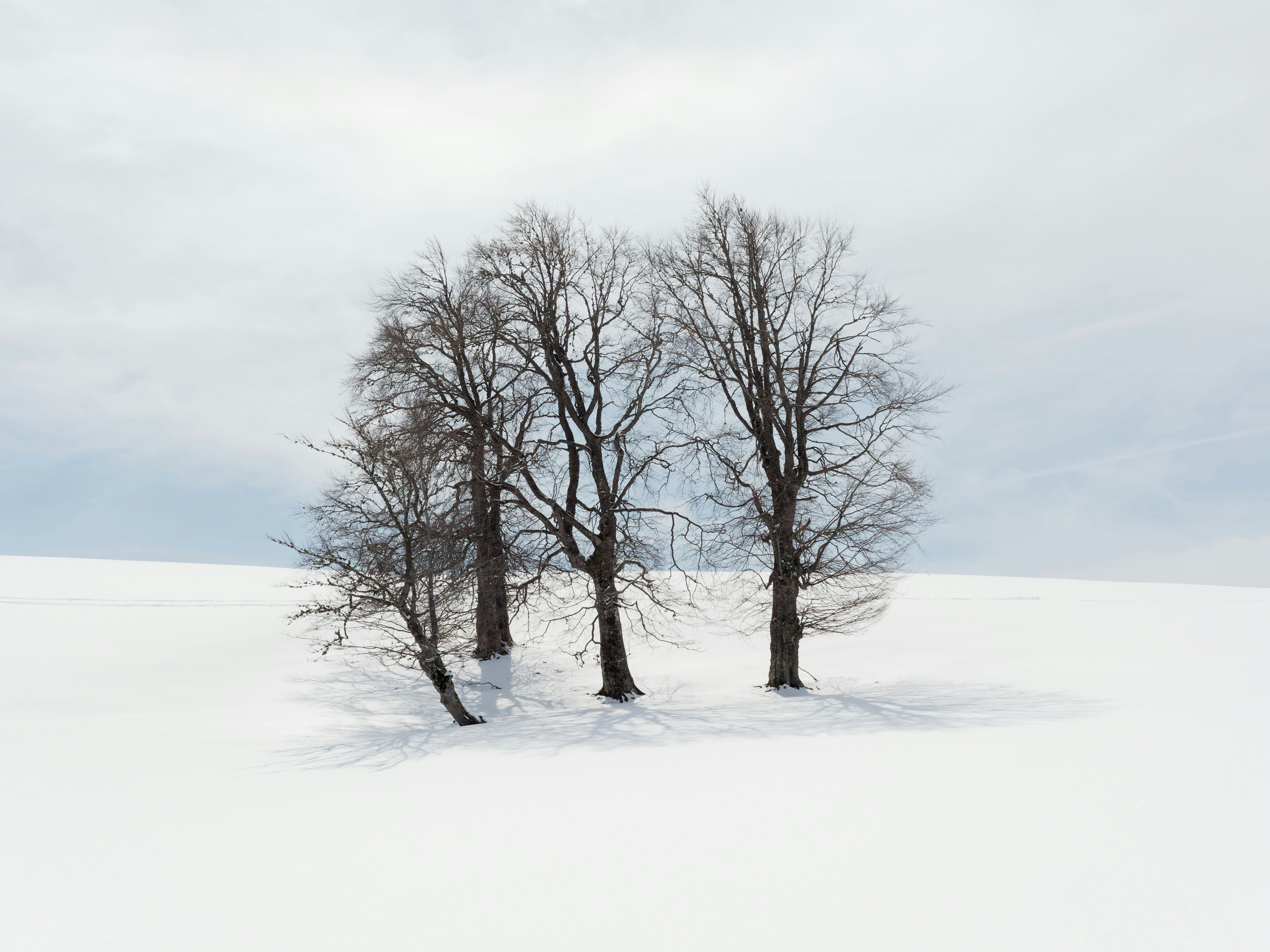 Photo by illes_cristi