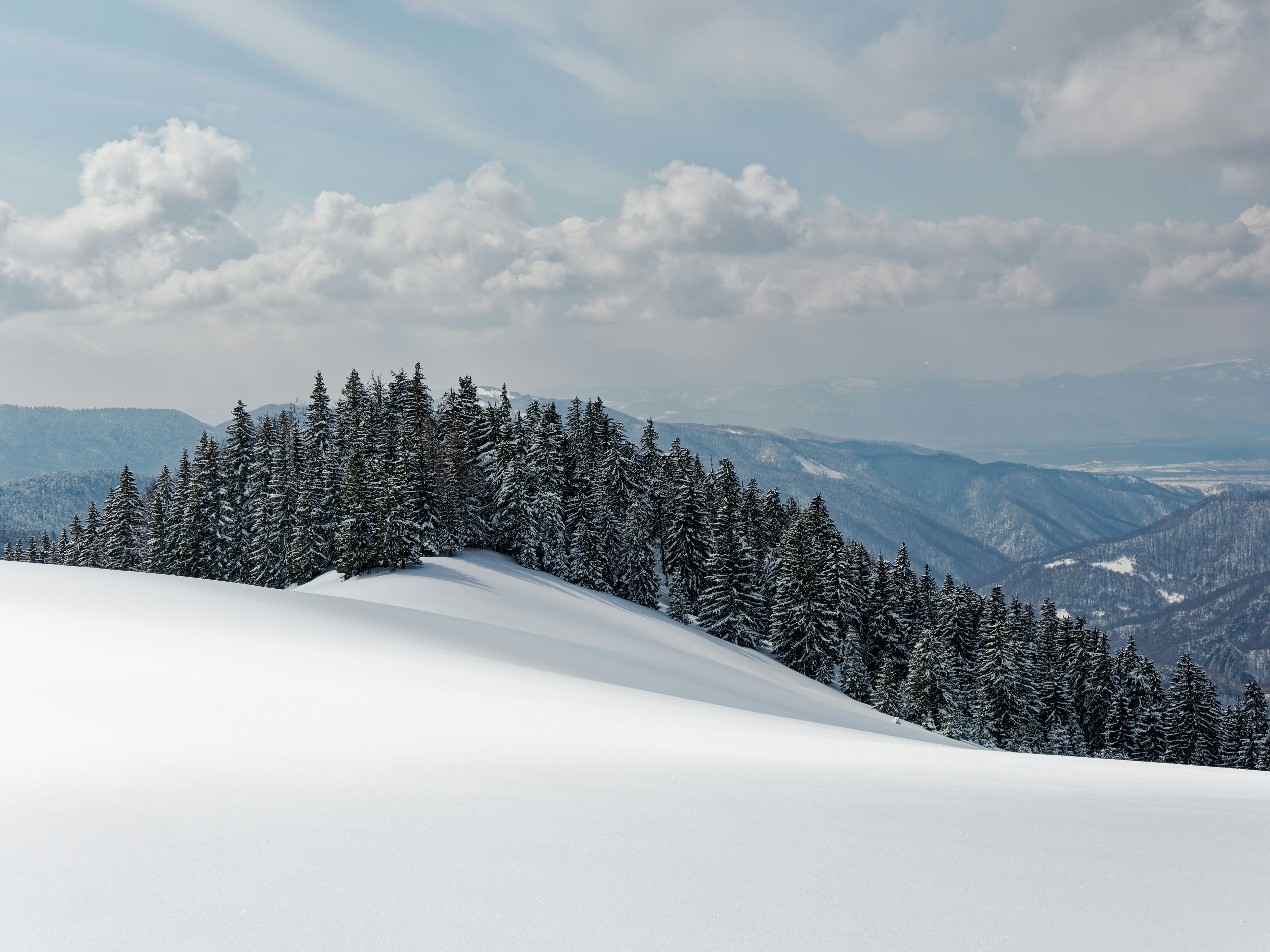 Photo by illes_cristi