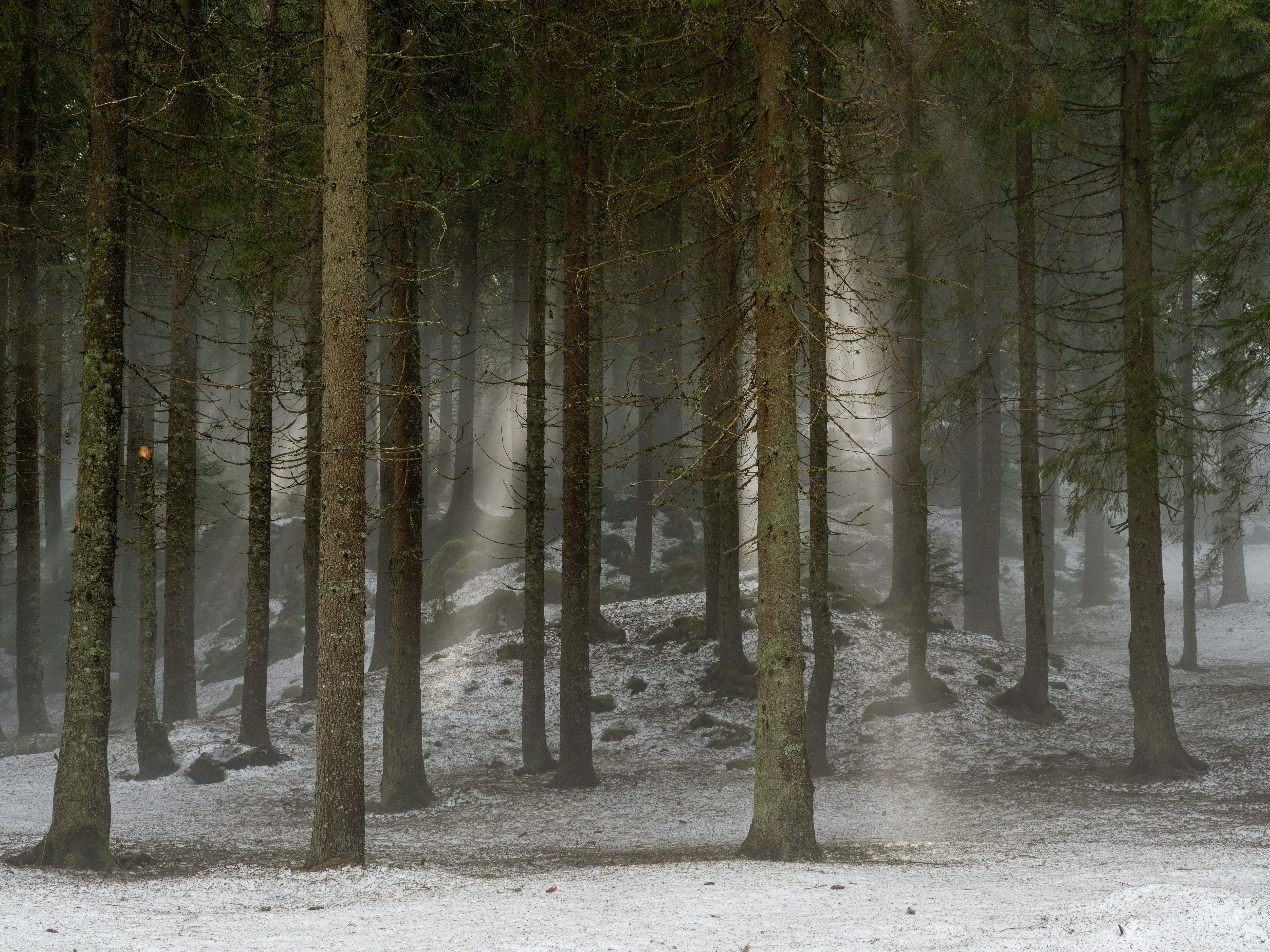 Photo by illes_cristi