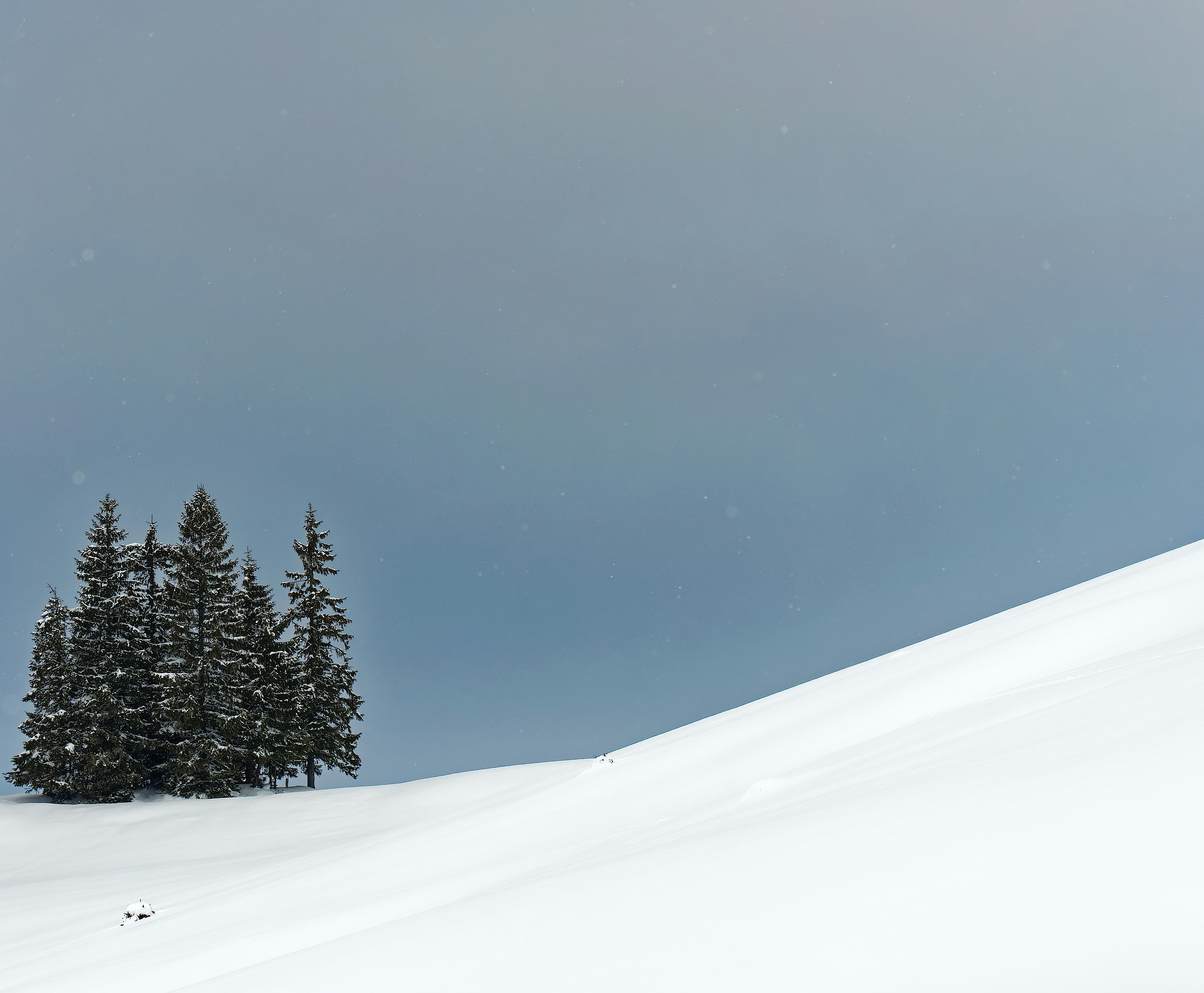 Photo by illes_cristi