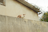 a cat sitting on a ledge next to a building