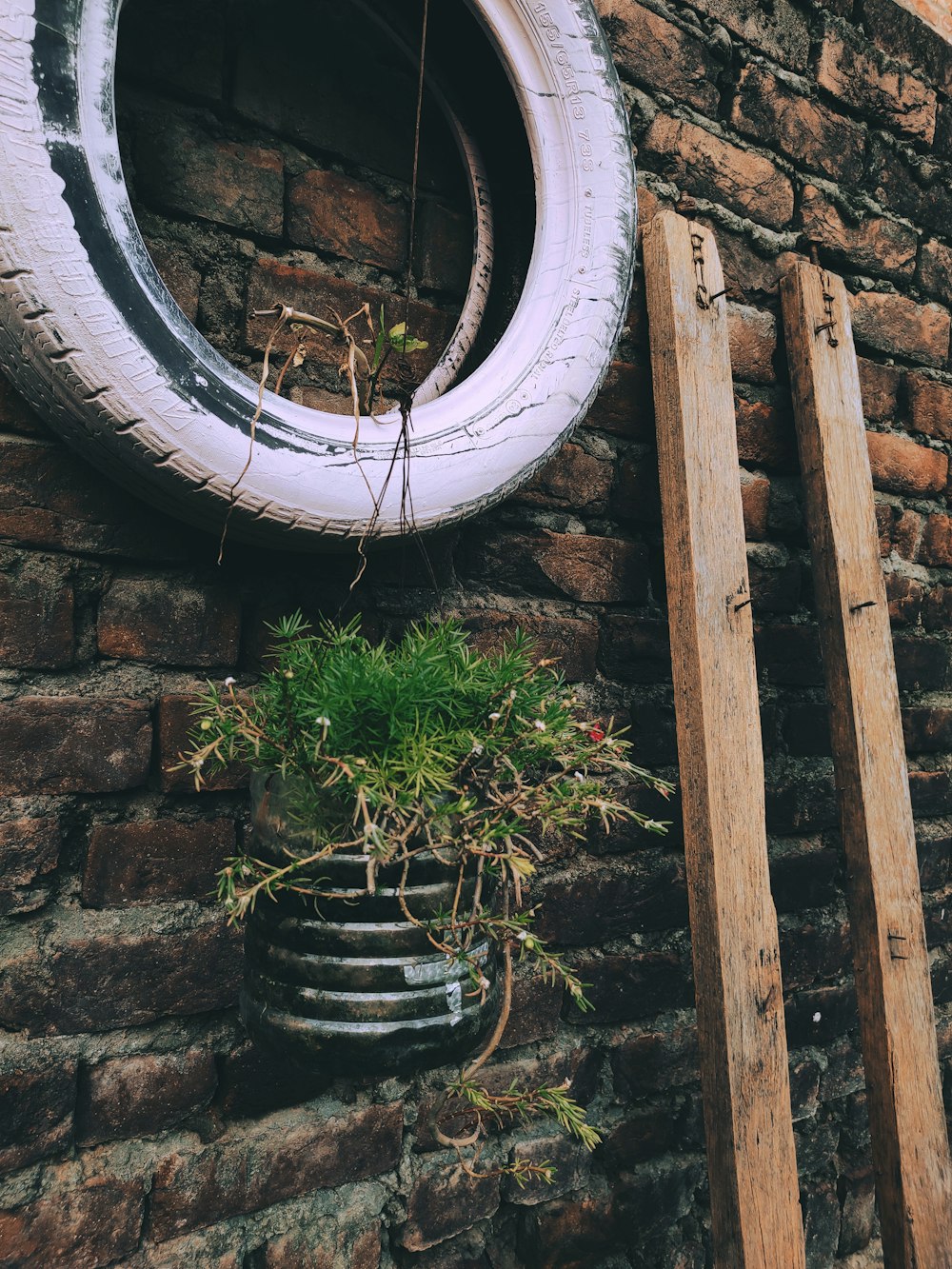 a tire hanging on a brick wall next to a potted plant