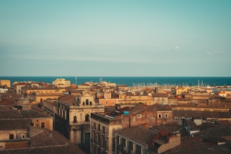 a view of a city with a body of water in the background