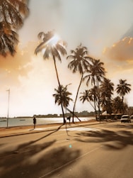 a person walking down a street next to palm trees