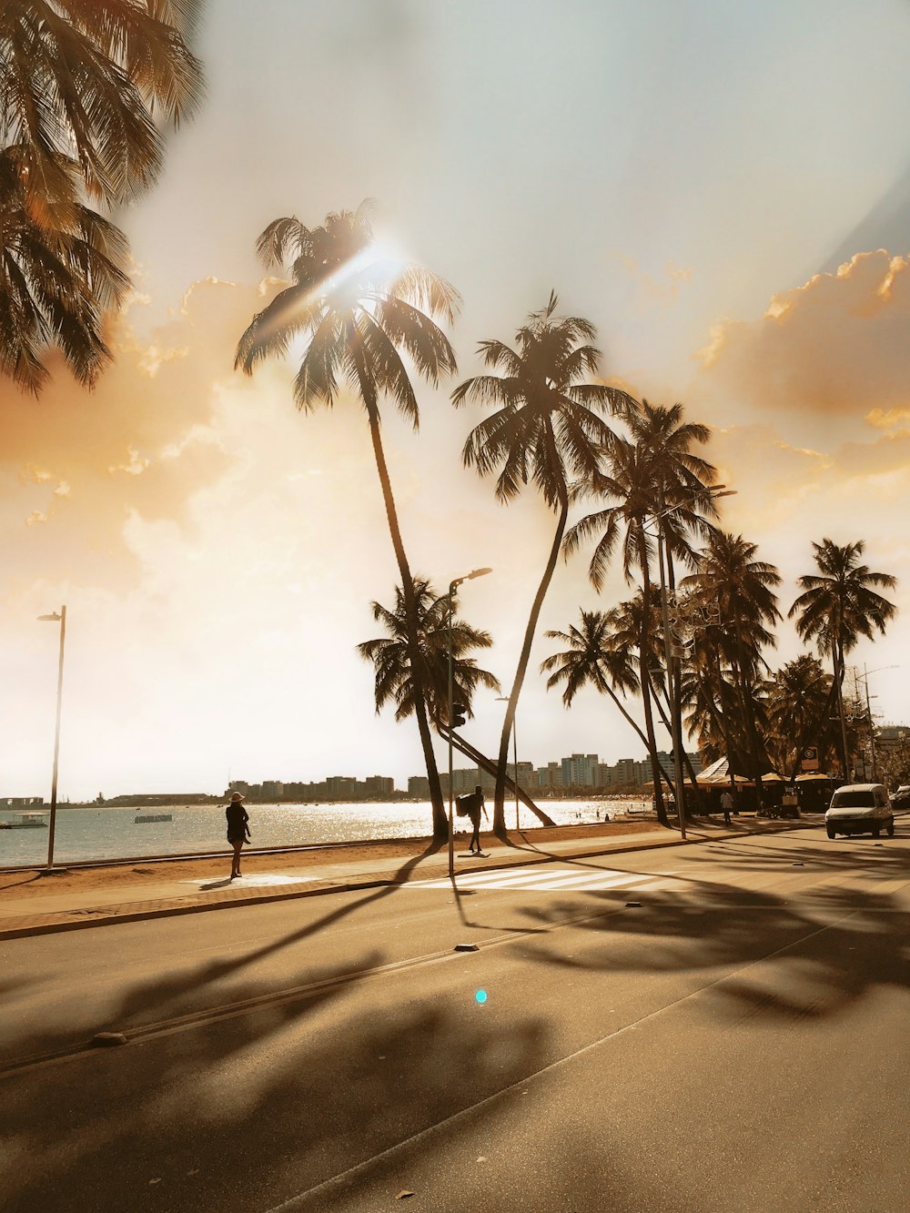 a person walking down a street next to palm trees