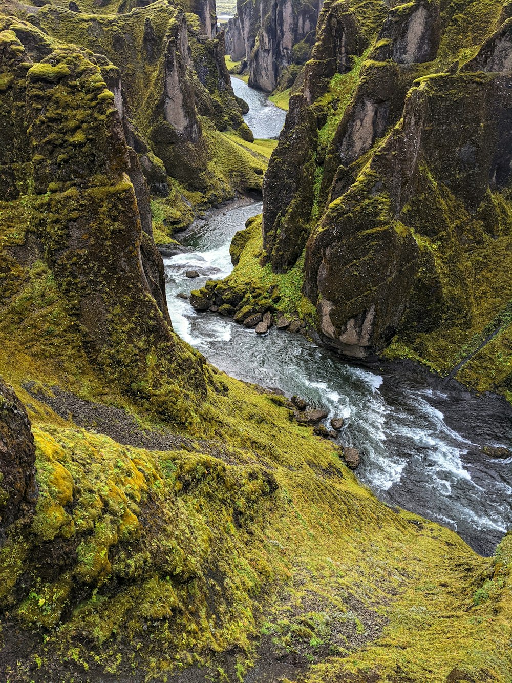 a river running through a lush green valley