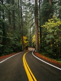 an empty road with trees in the background
