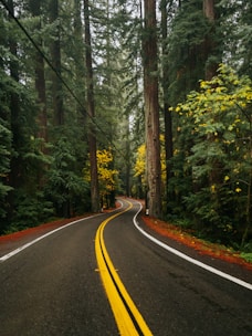 an empty road with trees in the background