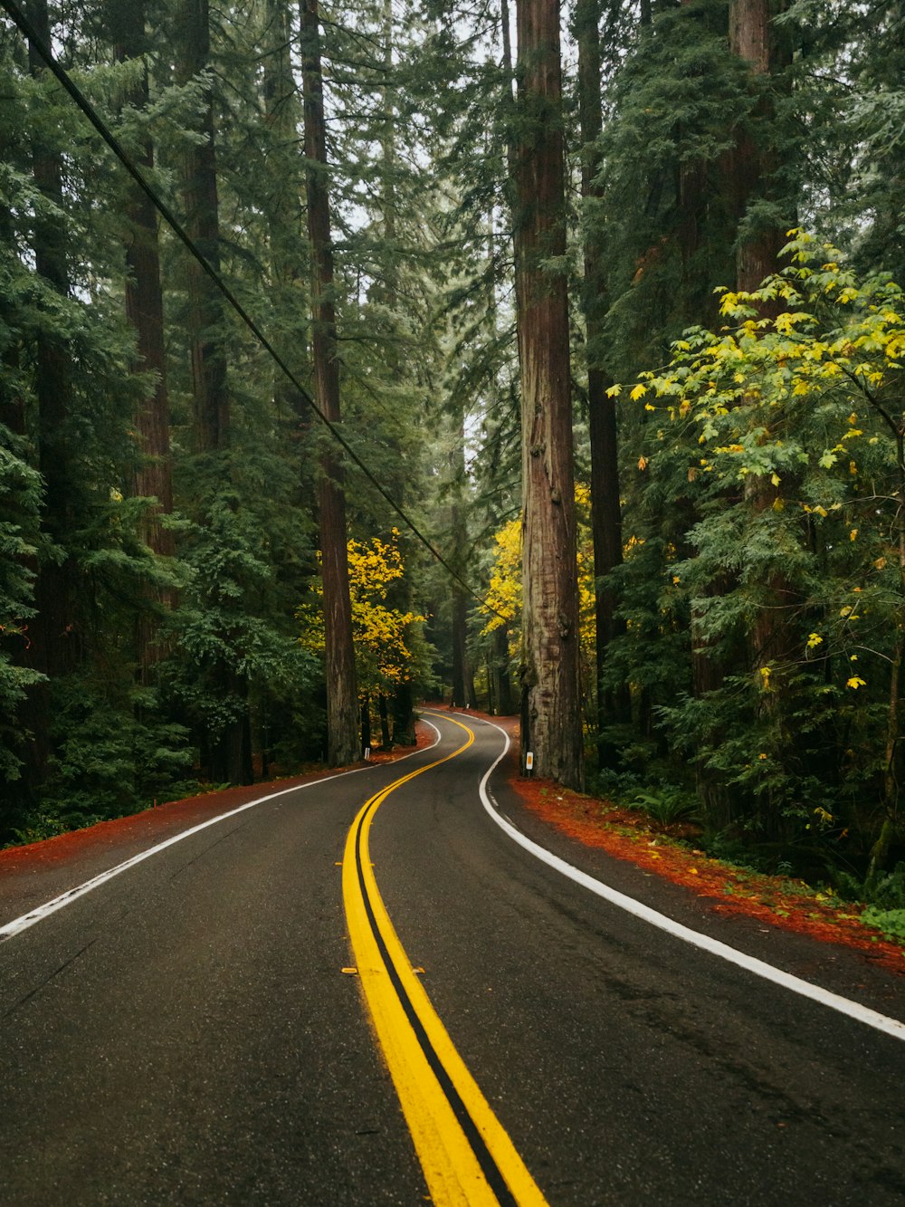 an empty road with trees in the background