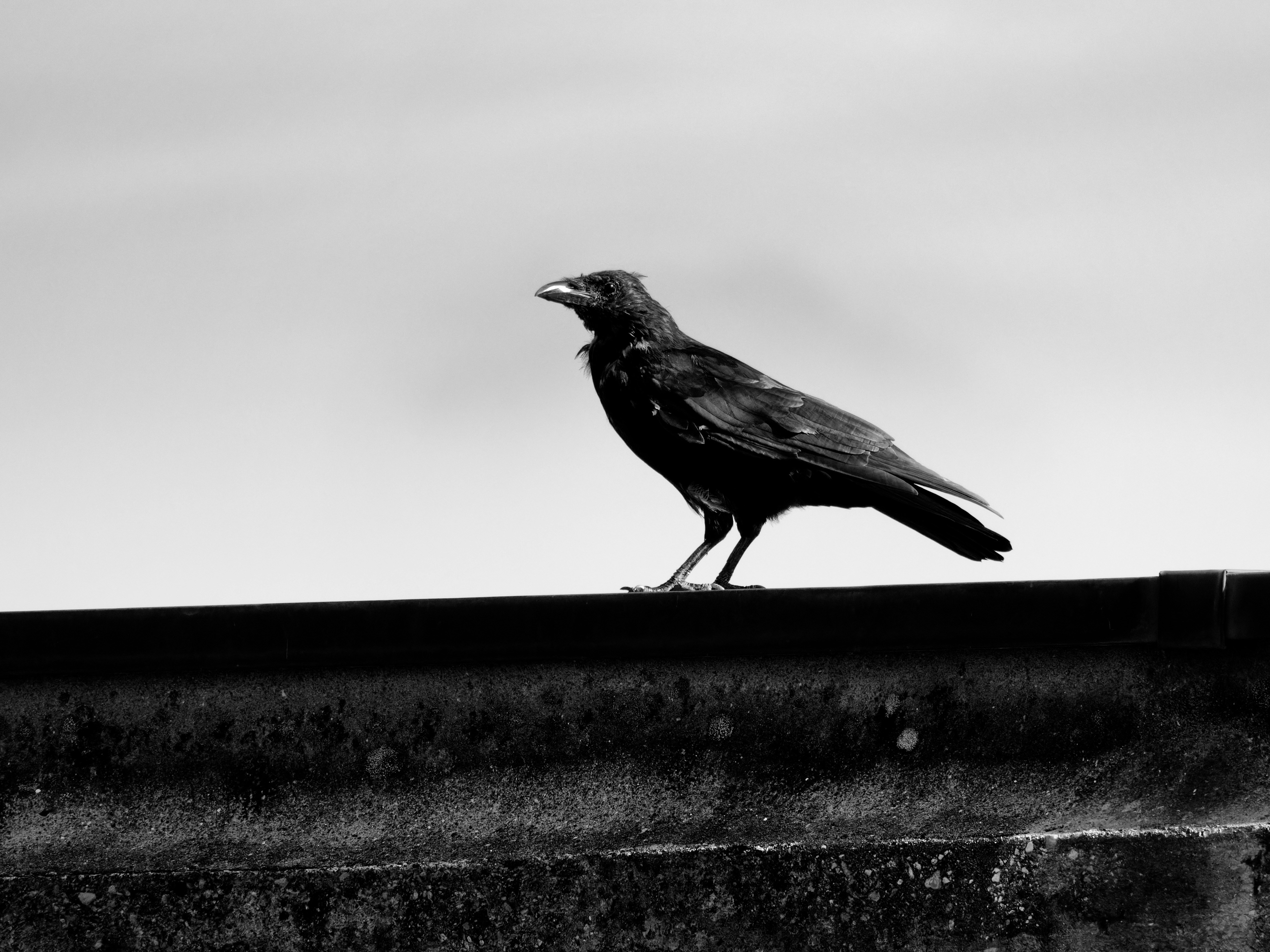 Photo by galerieseven