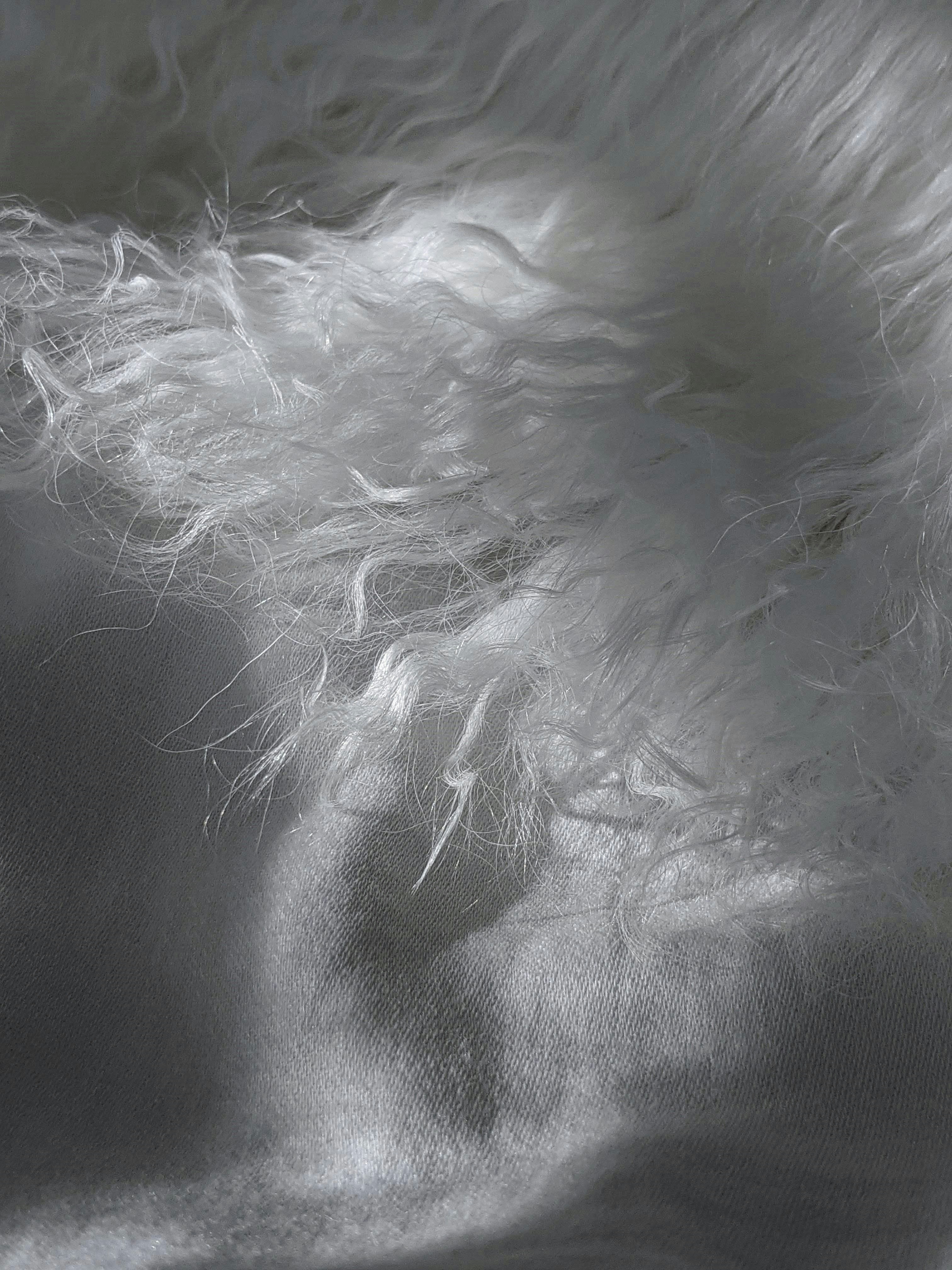 Photo by susan_wilkinson