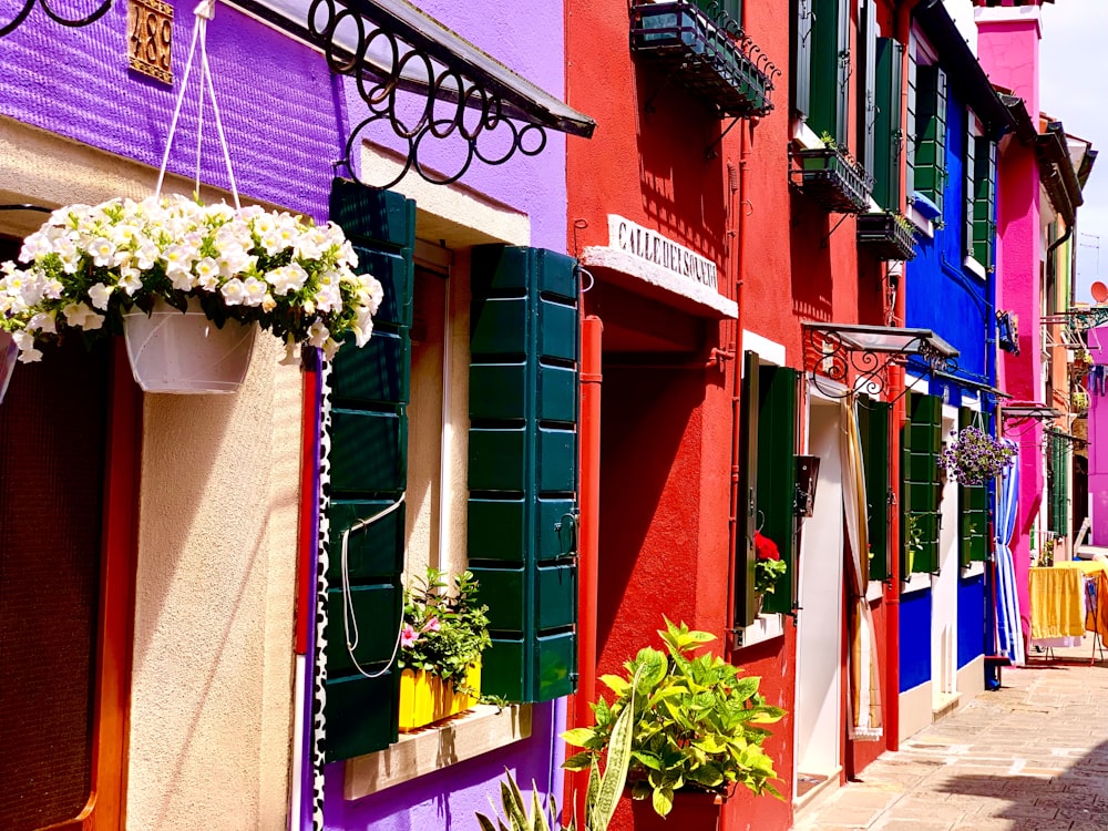 a row of colorful buildings with flower boxes on the windows