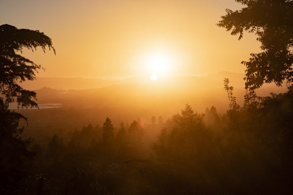 the sun is setting over the trees in the forest