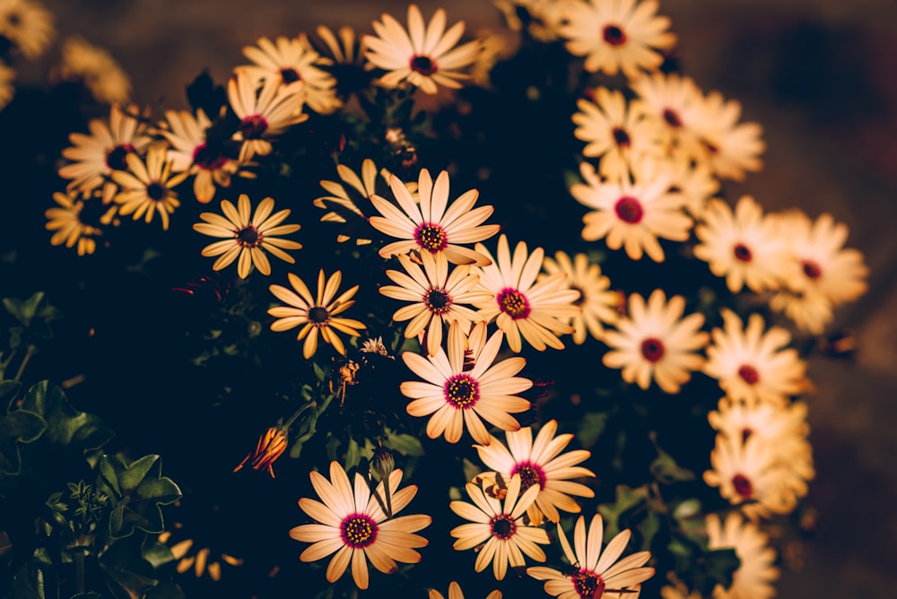 a bunch of yellow flowers that are in a vase