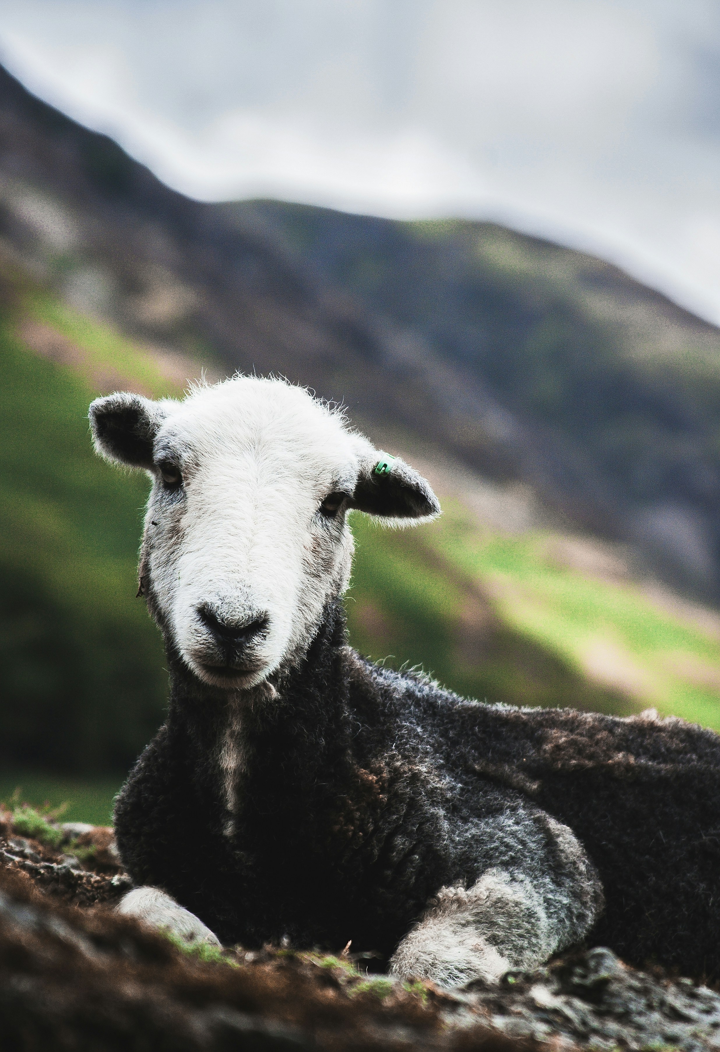 Photo by simoncheung207