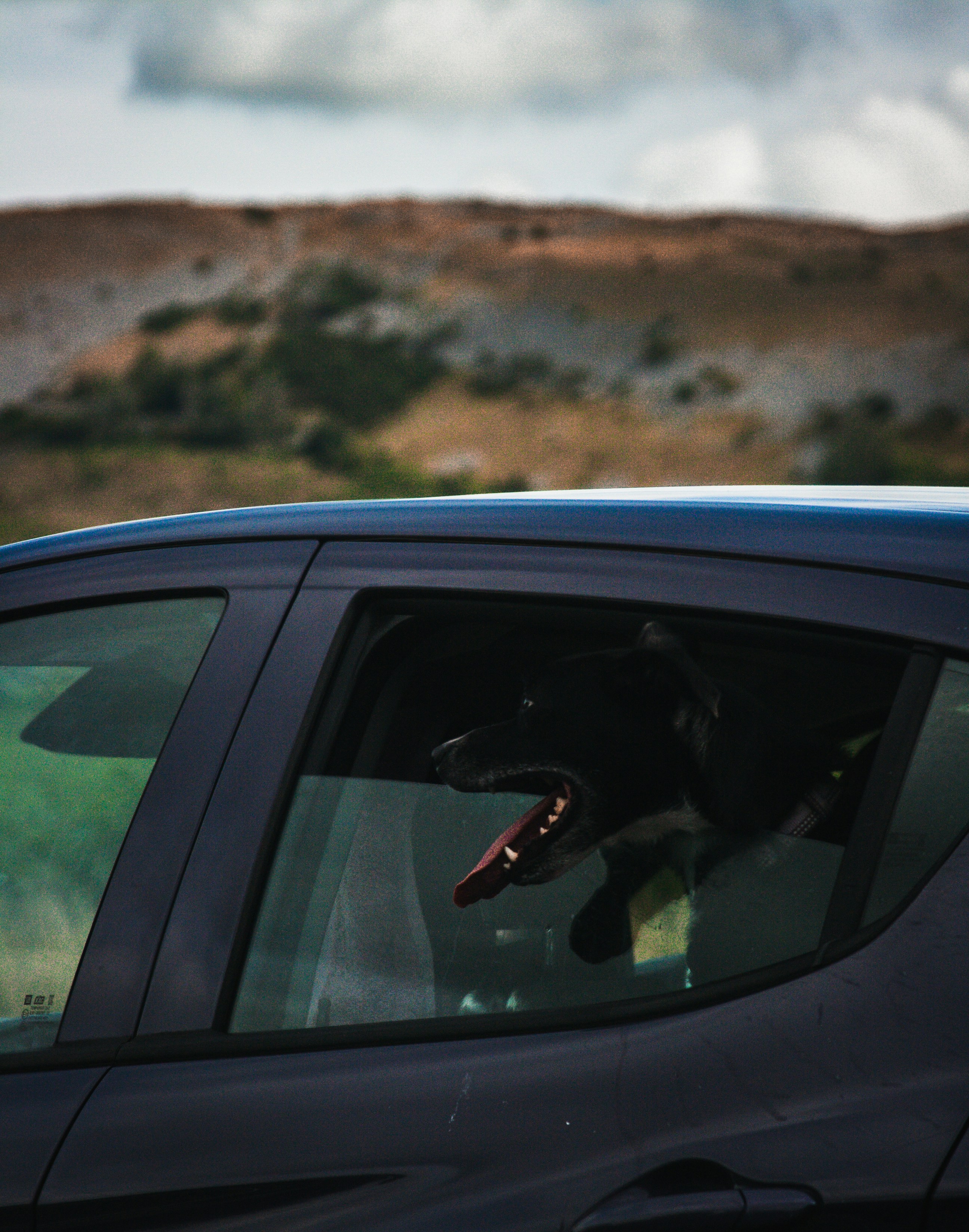 Photo by simoncheung207