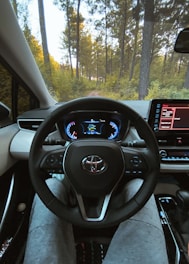 The view is from inside a car, looking through the windshield and over the steering wheel. The dashboard displays illuminated gauges with a digital speedometer and various controls, indicating that the car is stationary. The scene outside shows a dense forest trail, surrounded by tall trees and lush greenery, suggesting a peaceful, natural environment.