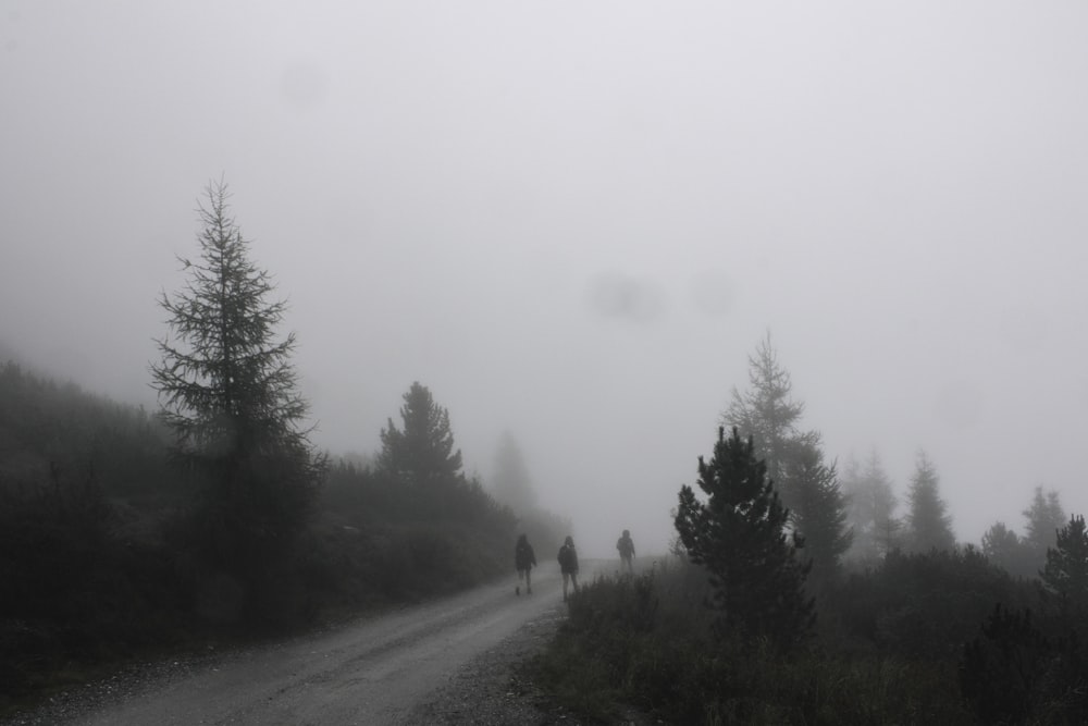 a group of people walking down a foggy road